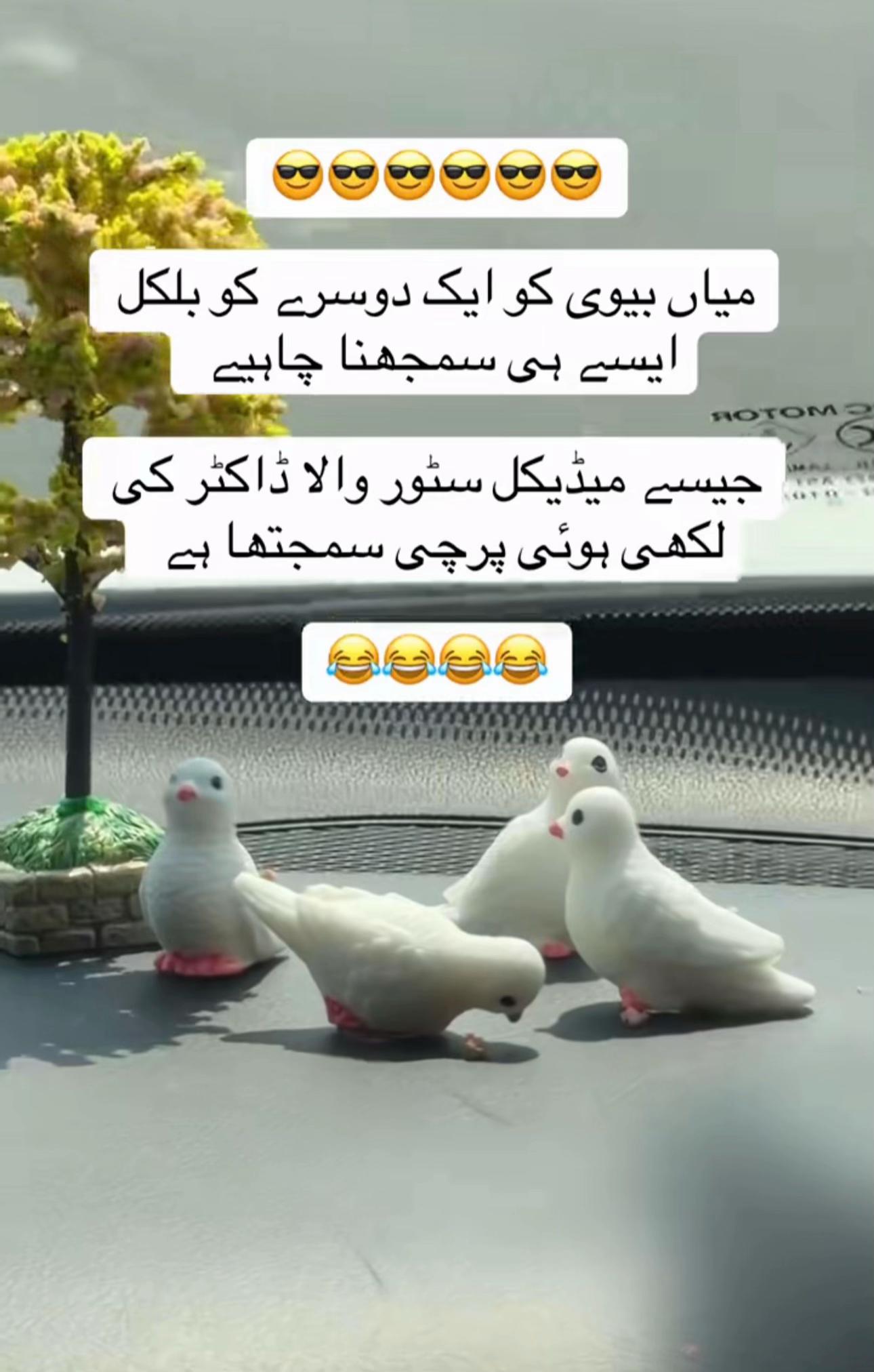 @Shazy ki Moon