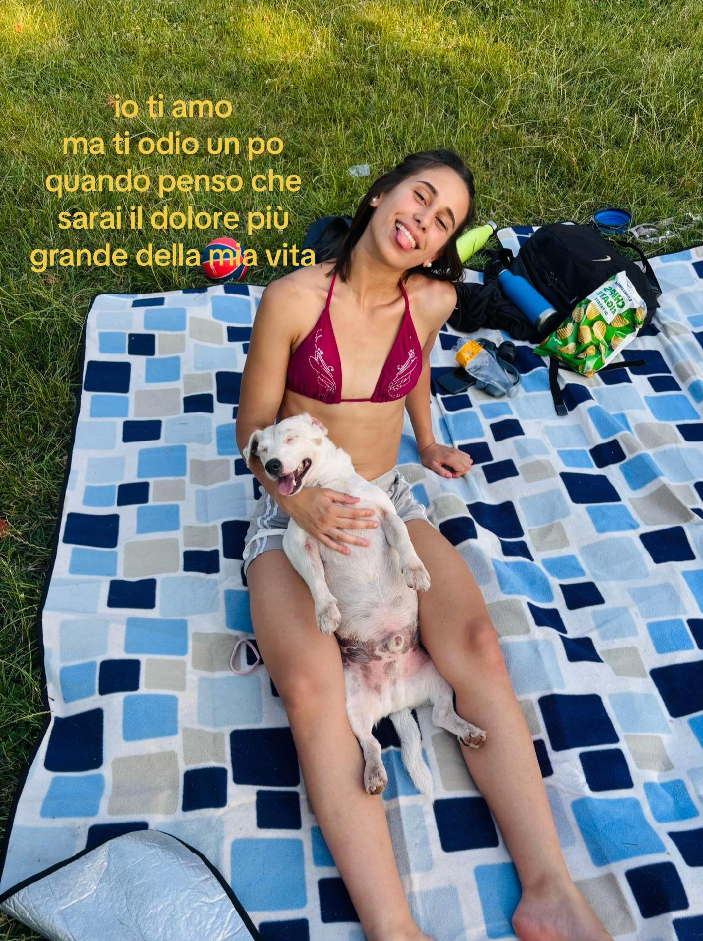 @𝐟𝐫𝐚𝐧𝐜𝐞𝐬𝐜𝐚