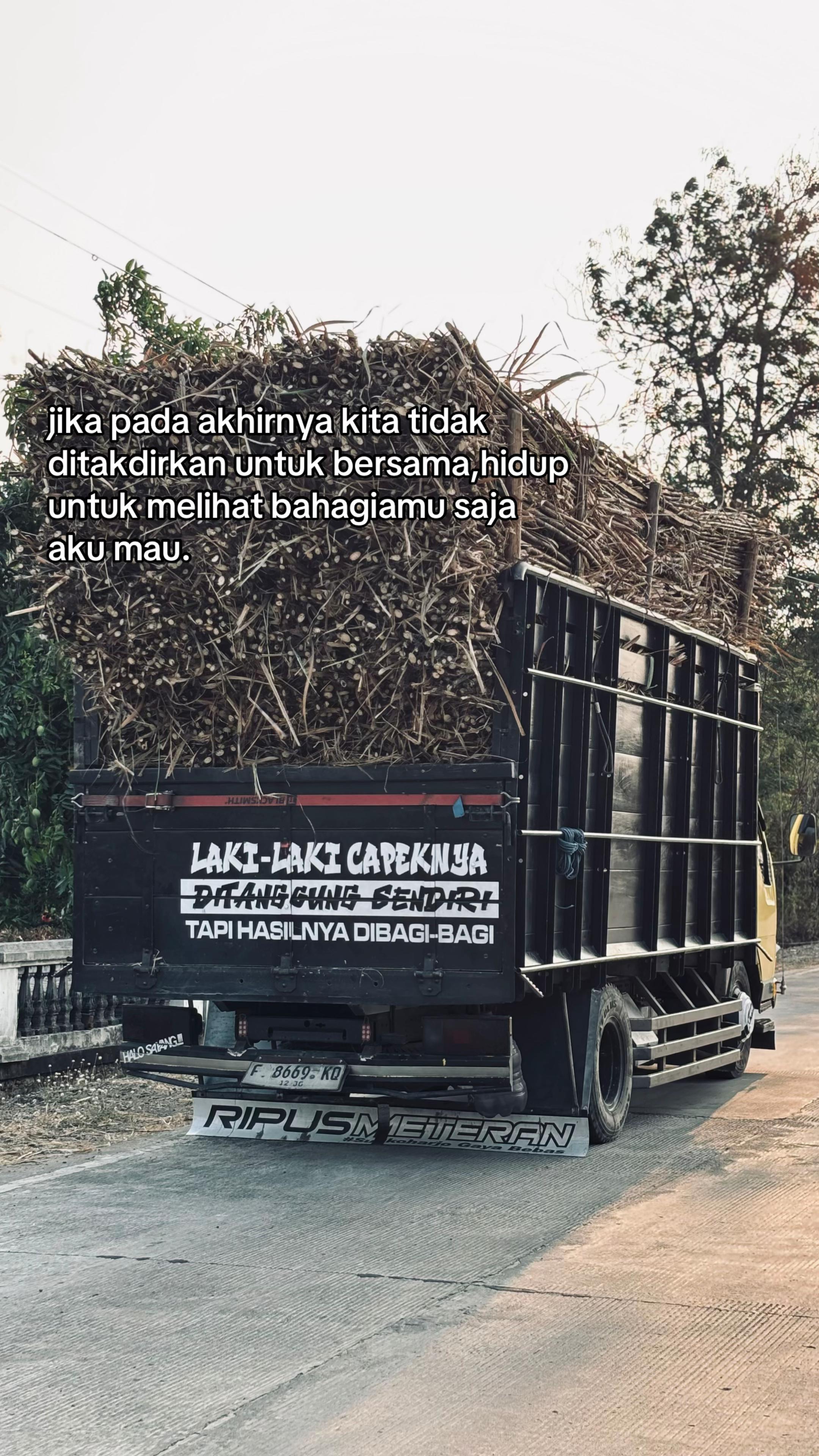@𝐇𝐚𝐲 𝐥𝐨𝐧𝐠