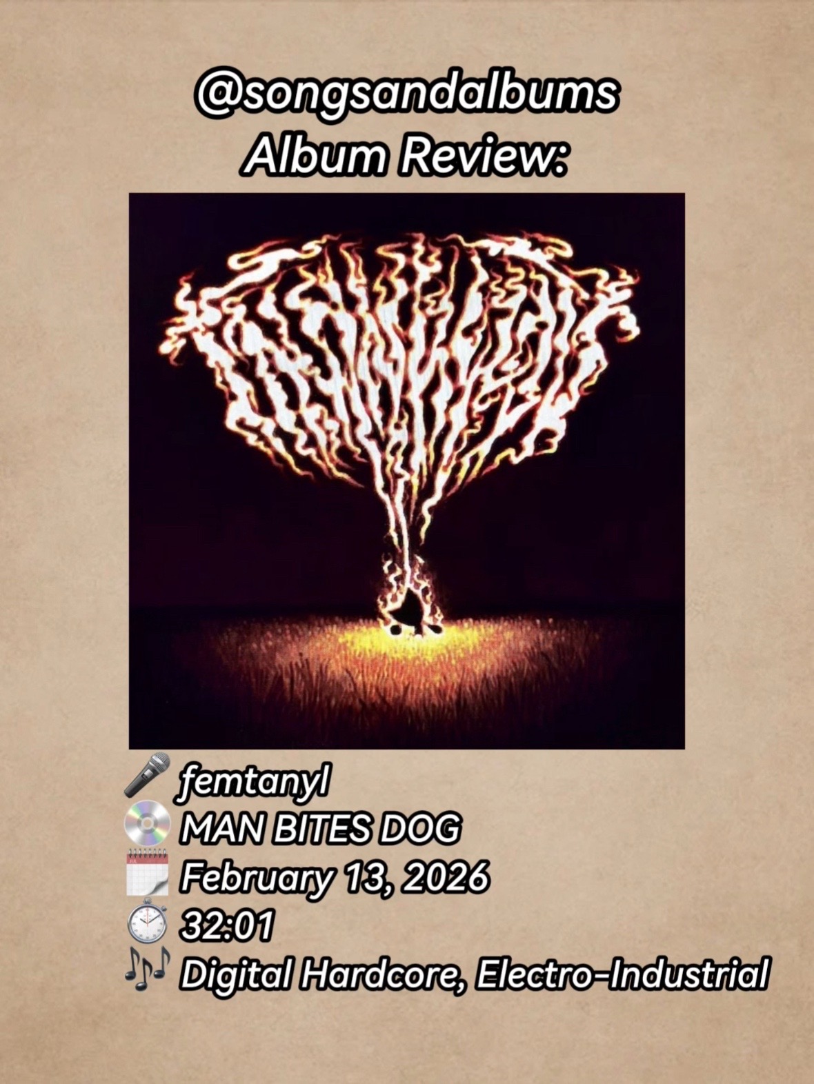 @music enjoyer