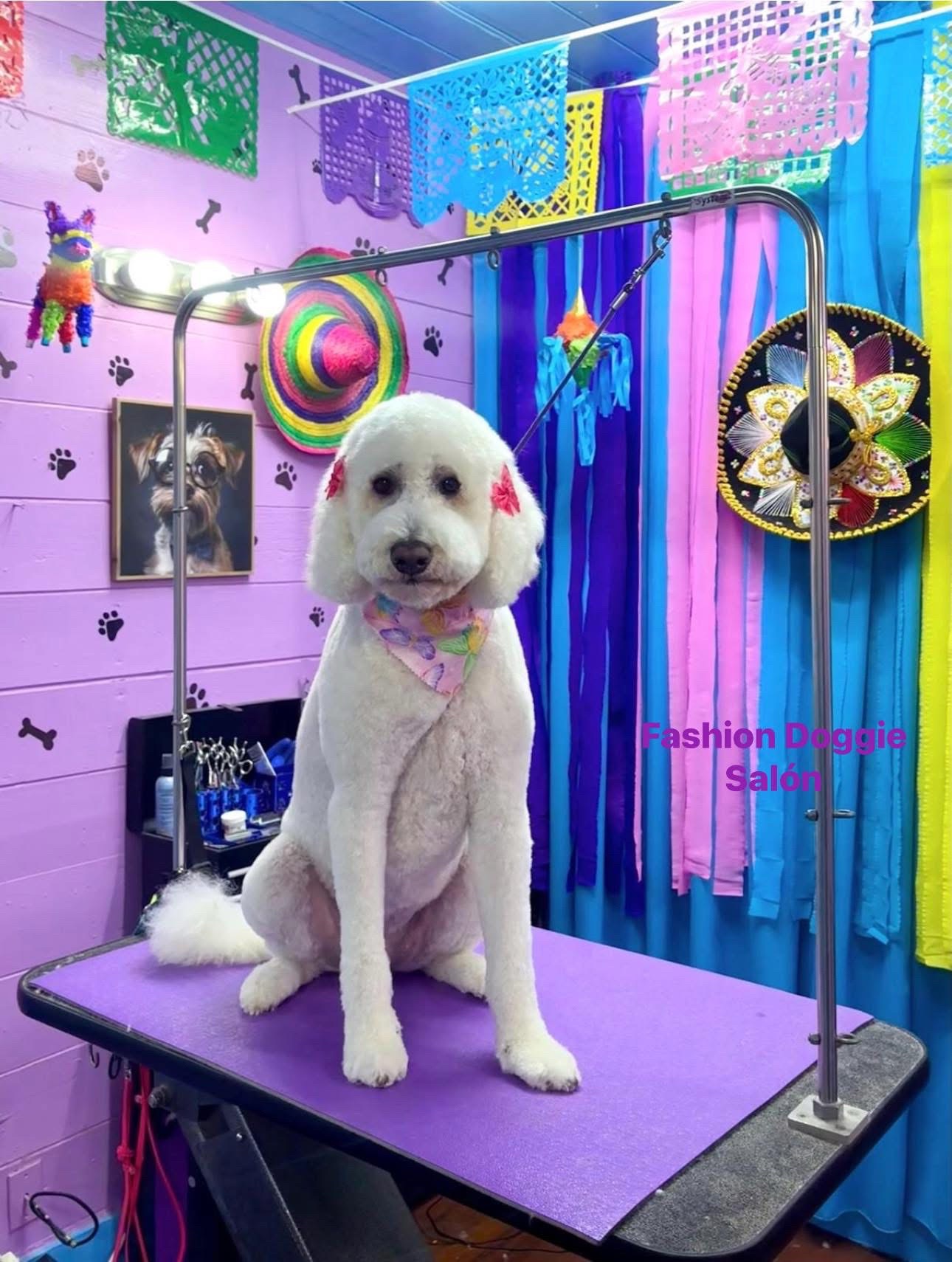 @fashion.doggie.salon