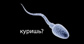 @19_vitalik_06
