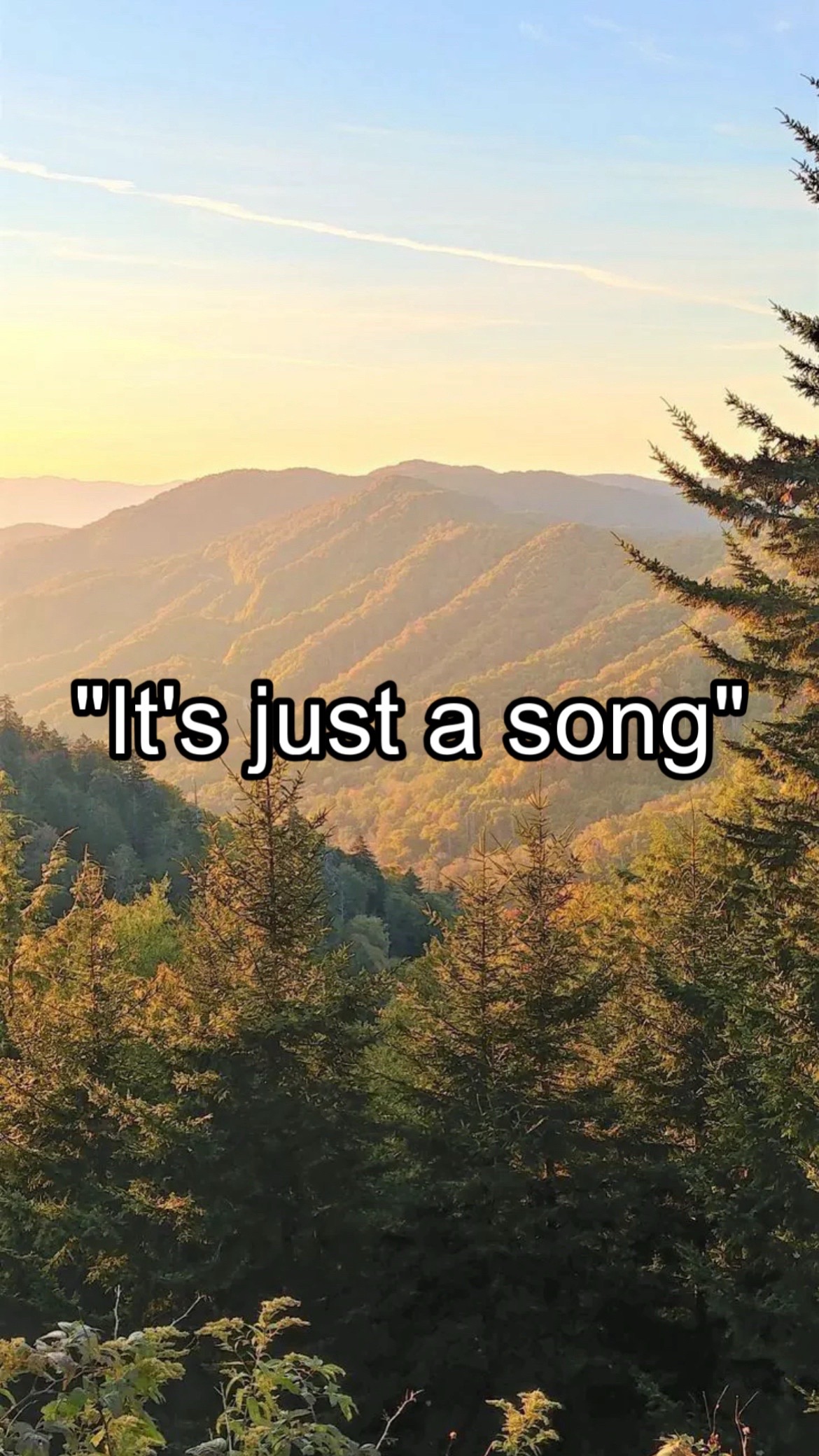 @CountryMusicEnjoyer🤠