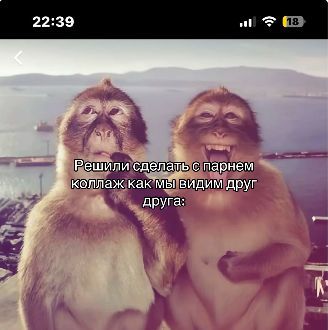 @Makima.