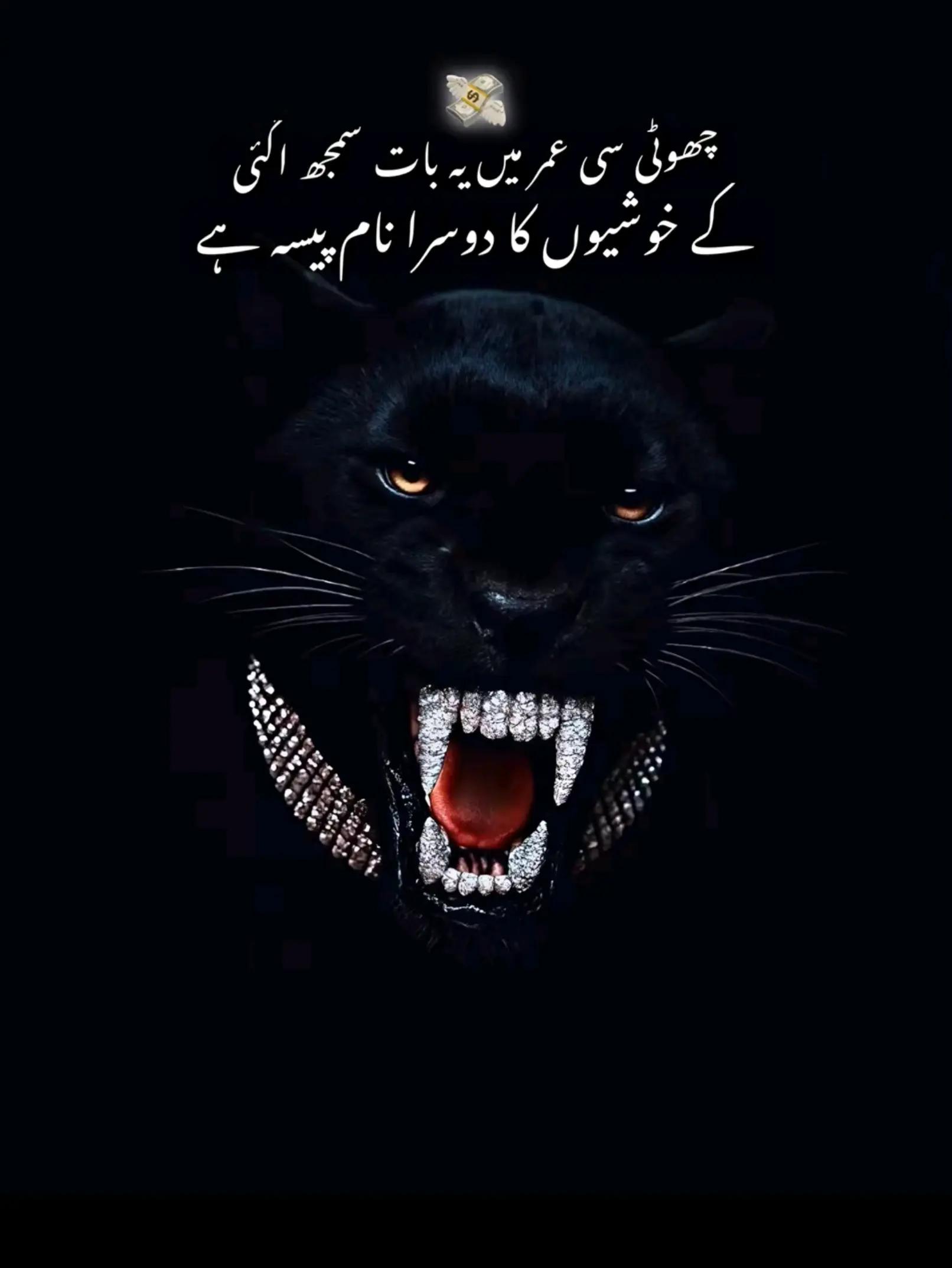 @👑☠️RaJpOoT❤️🔥گجرات آلا☠️👑