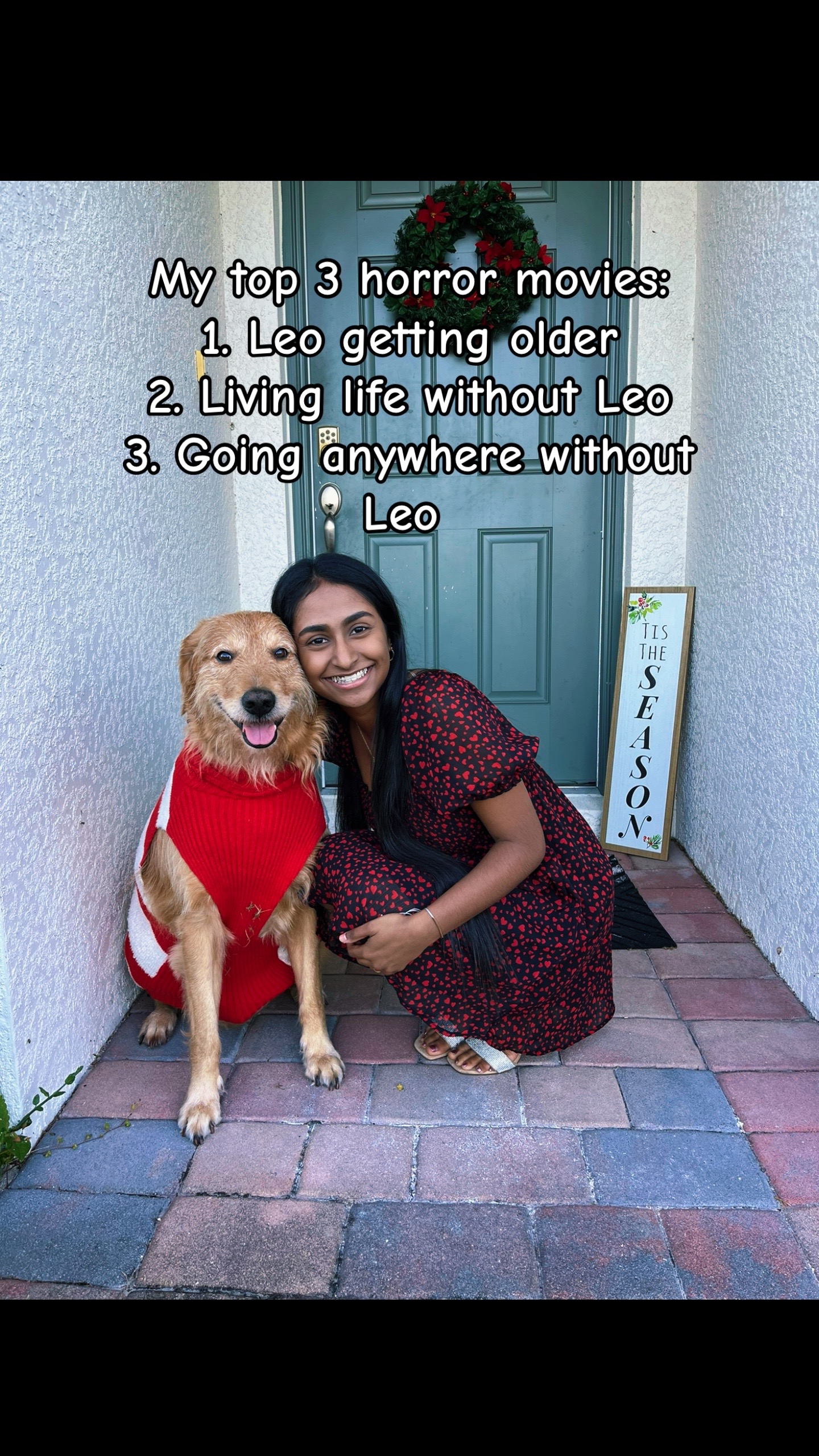 @Leo the Doodle