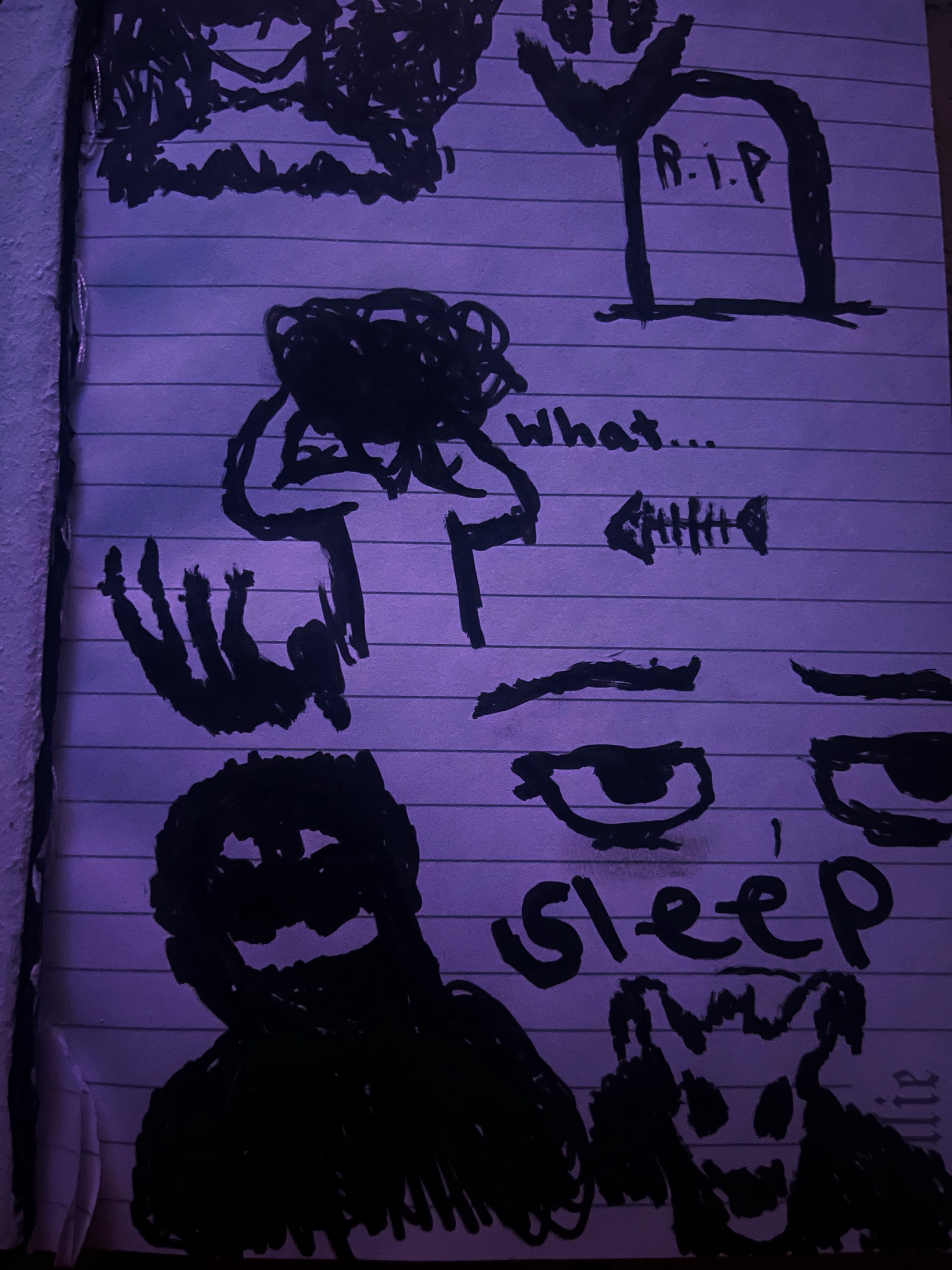 @⋆｡˚꒰ঌꪑꪖᦔⅈડꪮꪀ໒꒱˚｡⋆
