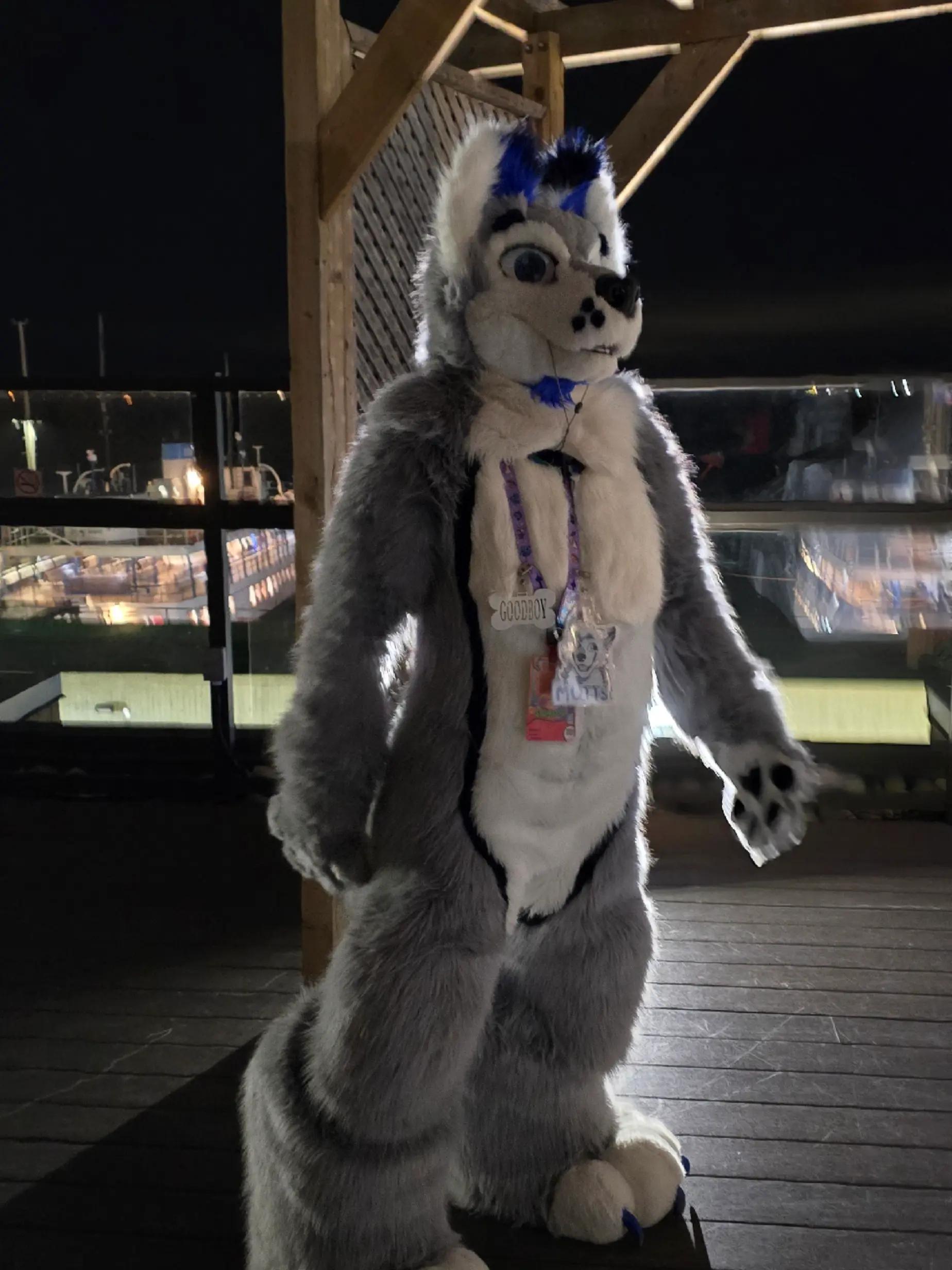 @muttsi
