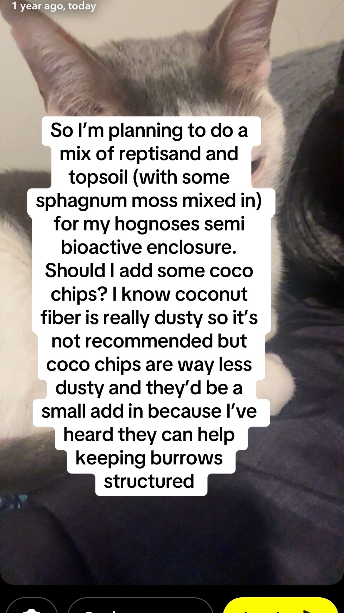 @snake._.tales