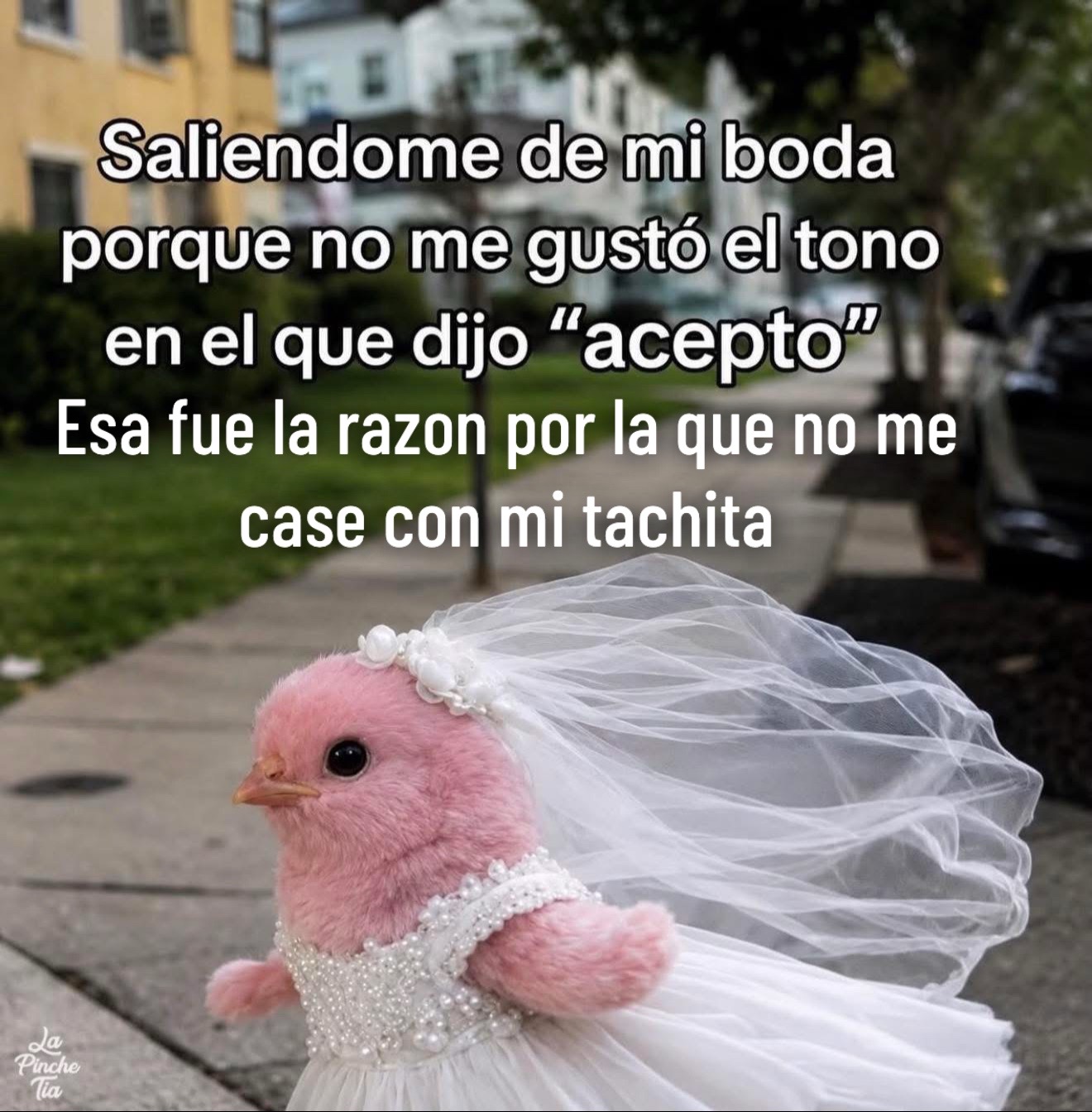 @🌷💎JOYERIA💎ARELLANO💎🌷