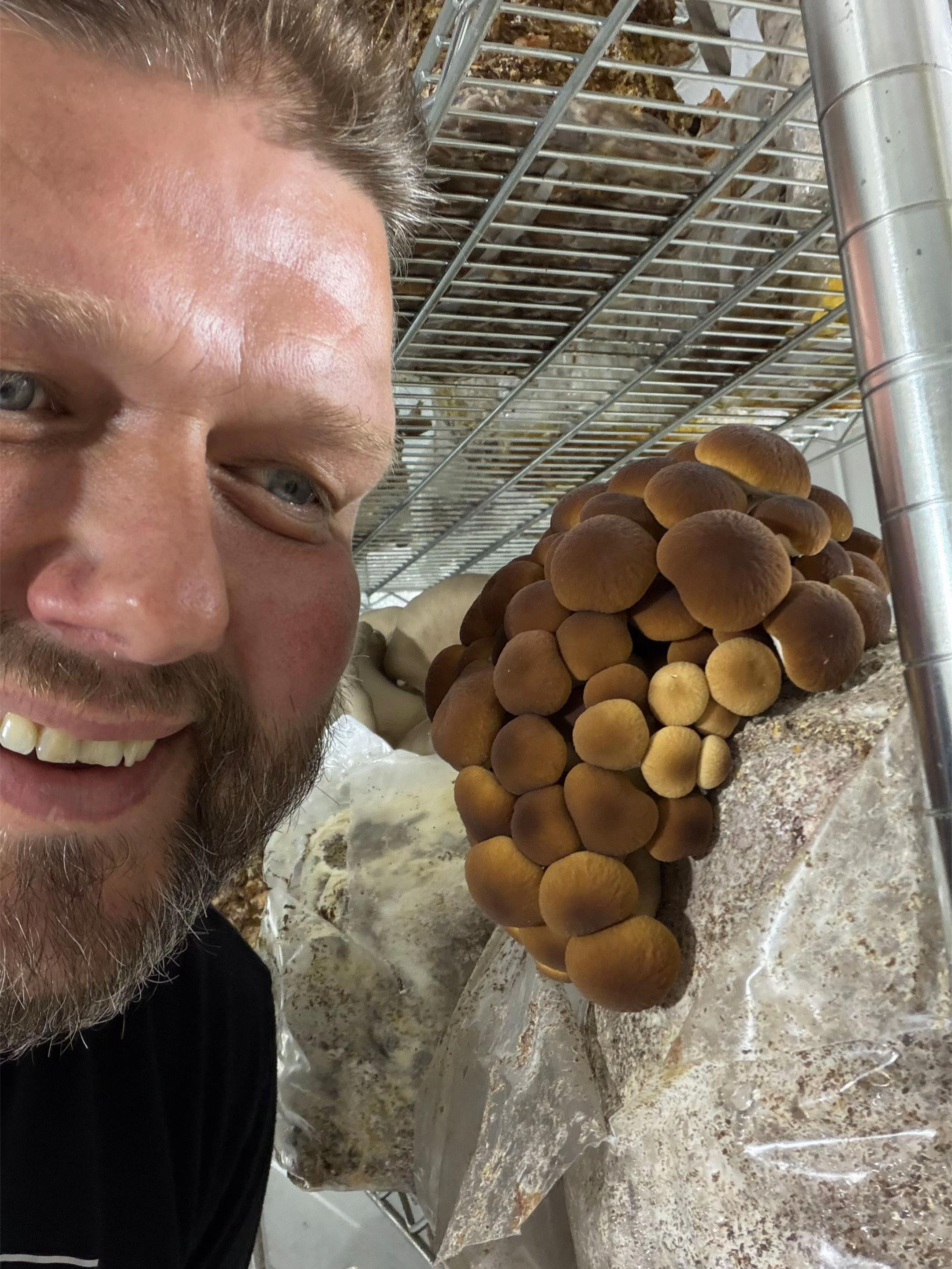 @The Mushroom Hub
