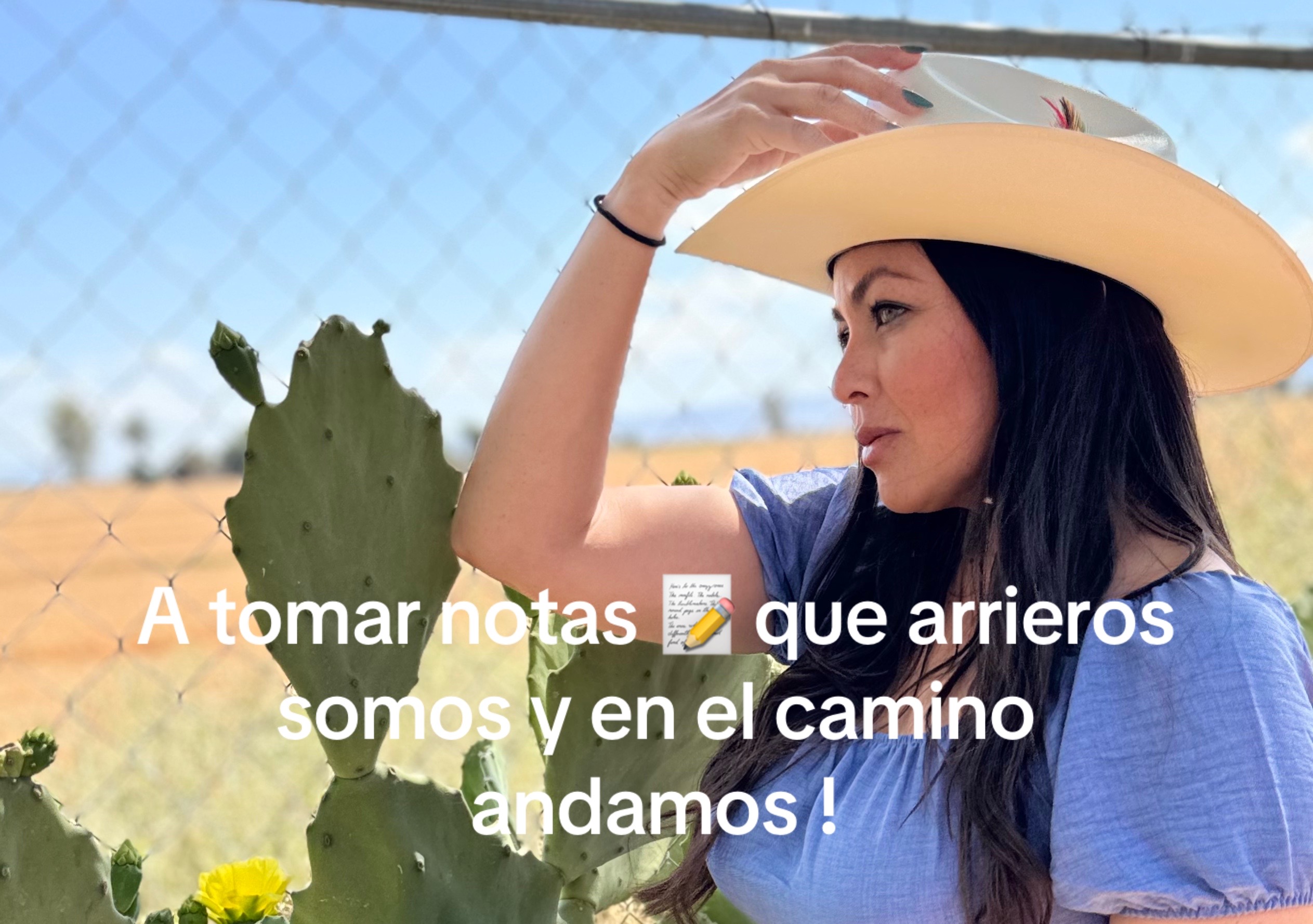 @Oibarra🌙