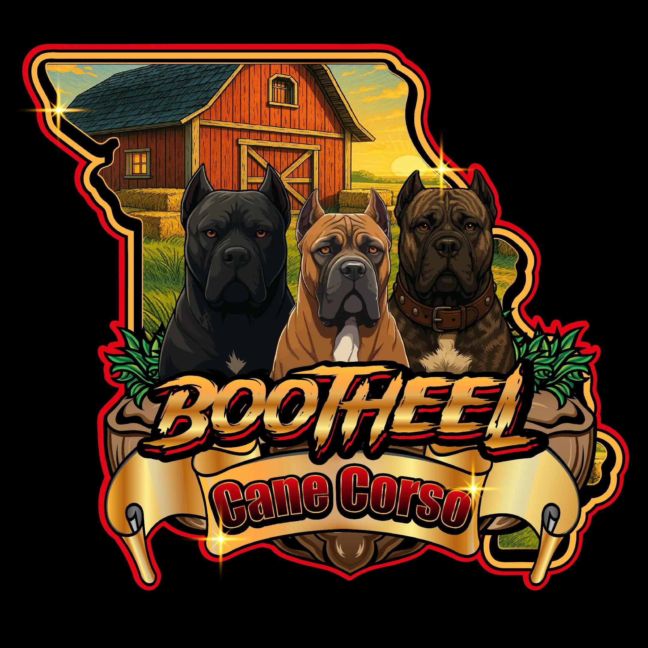 @BOOTHEEL CANE CORSO