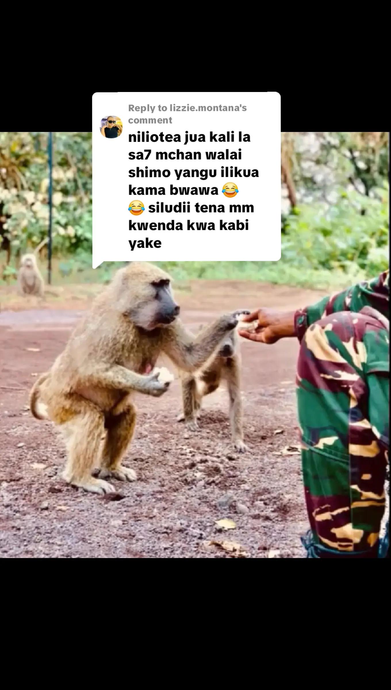 @️C.B.SWAI🪖