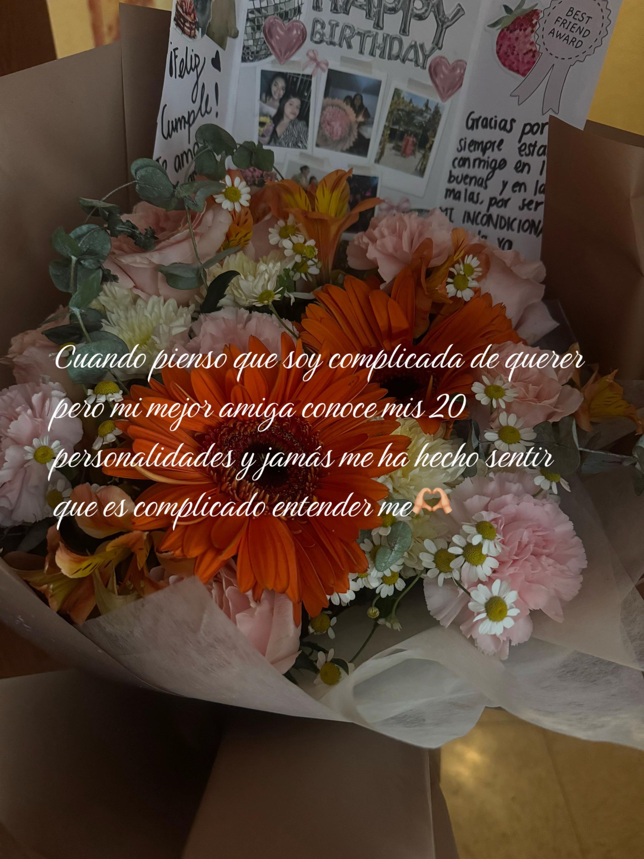 @fercervantes179