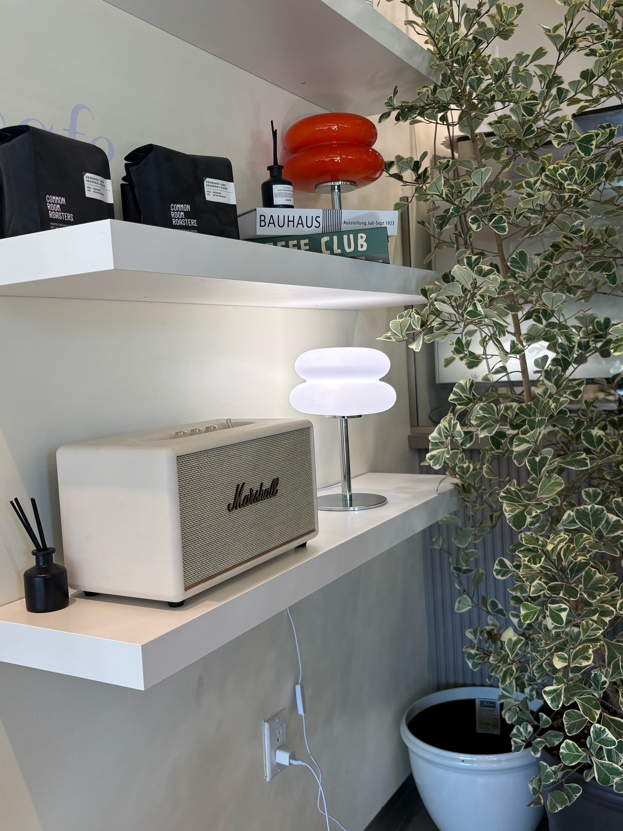 @sage wolff