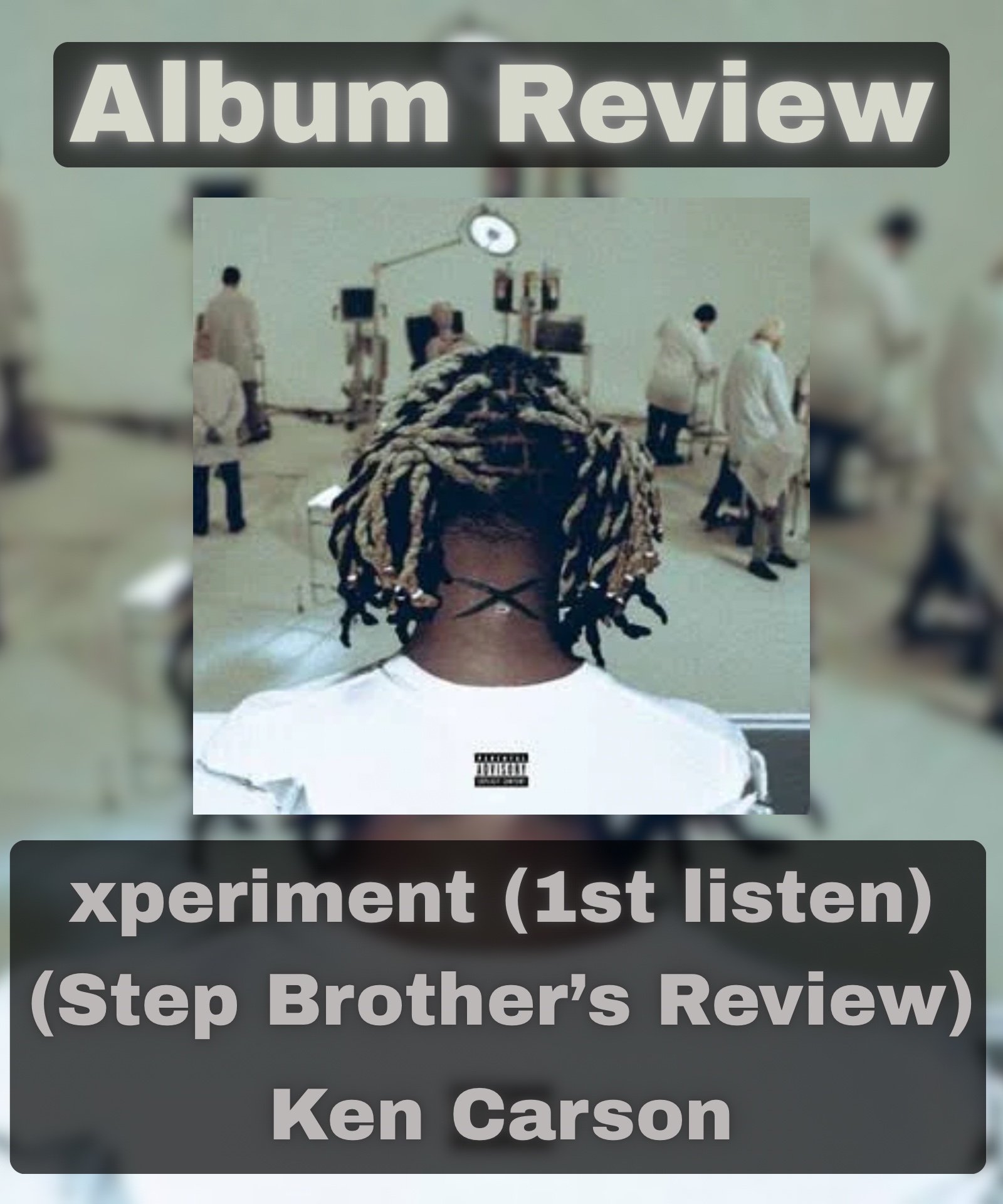 @gingermusicreviewer