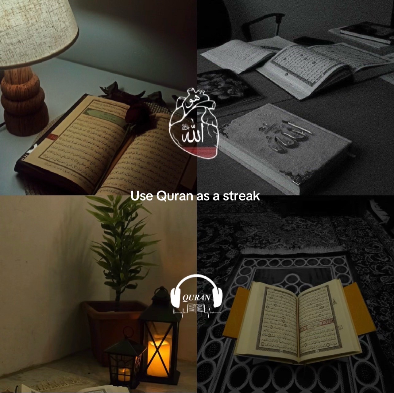 @Quran|| قُرْآن