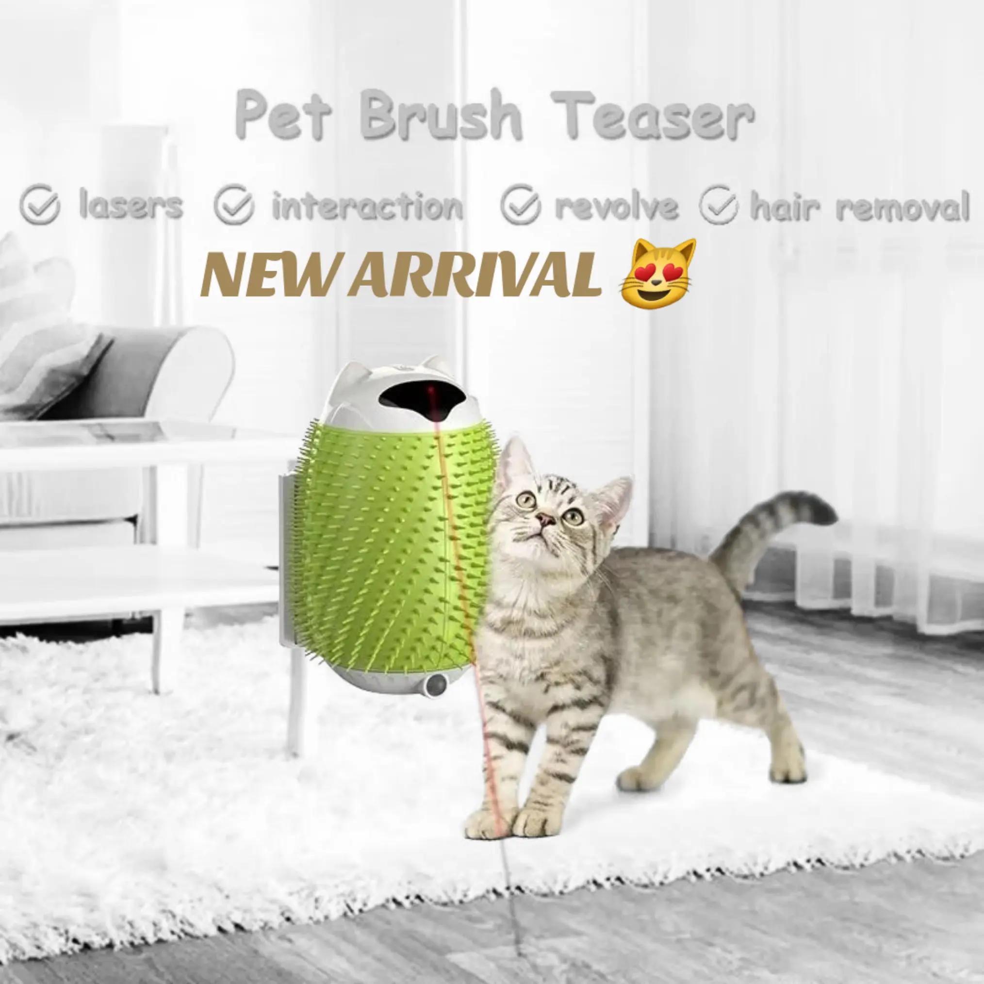 @Wellness for Pet