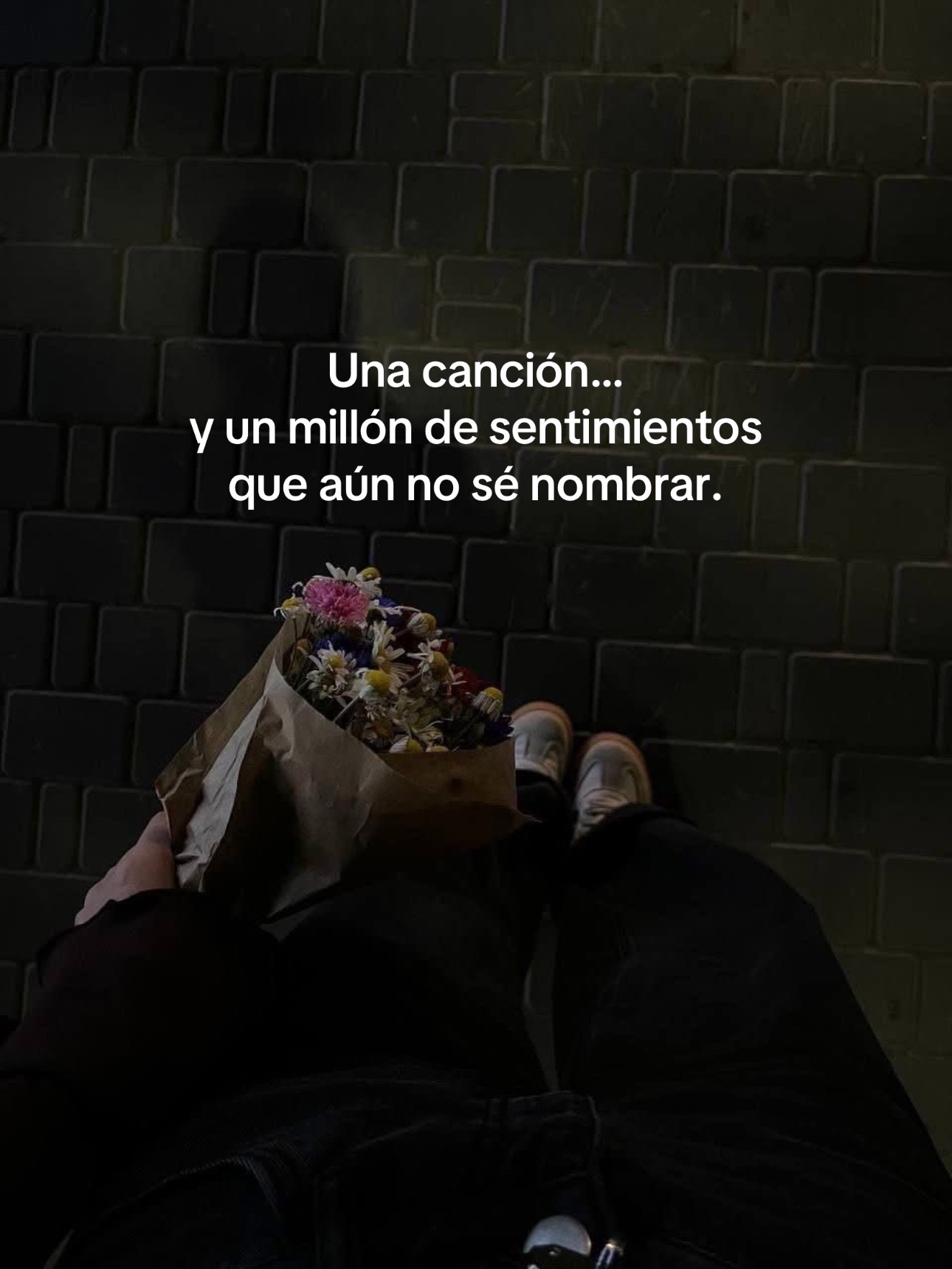 @Fernando Sunux