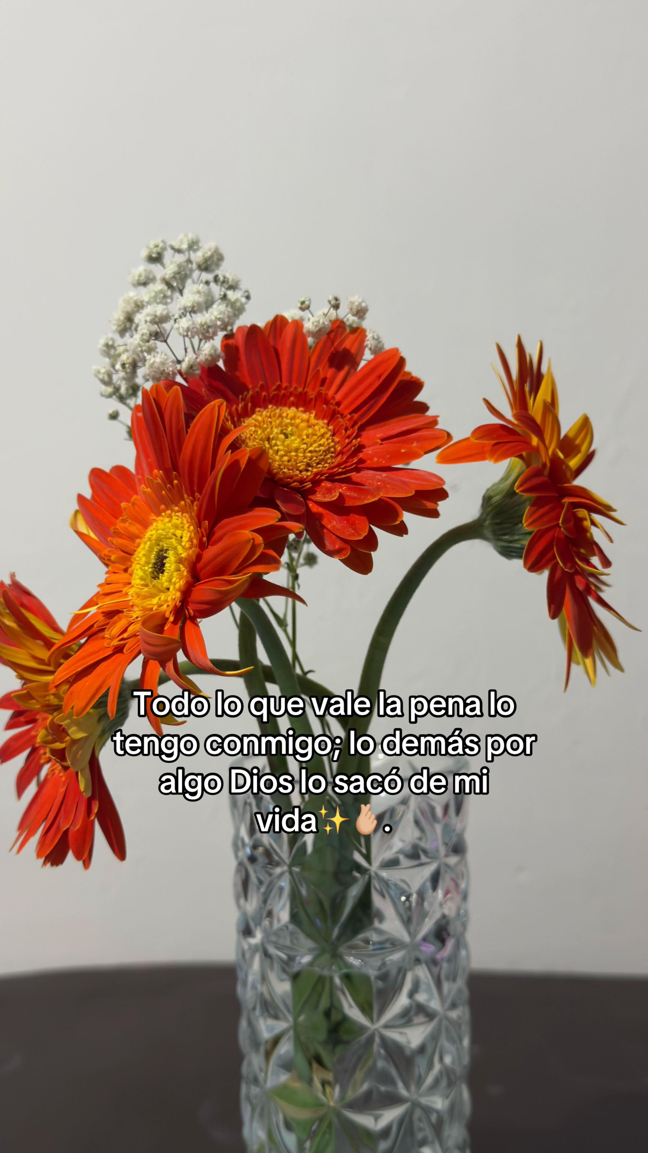@lia🌷