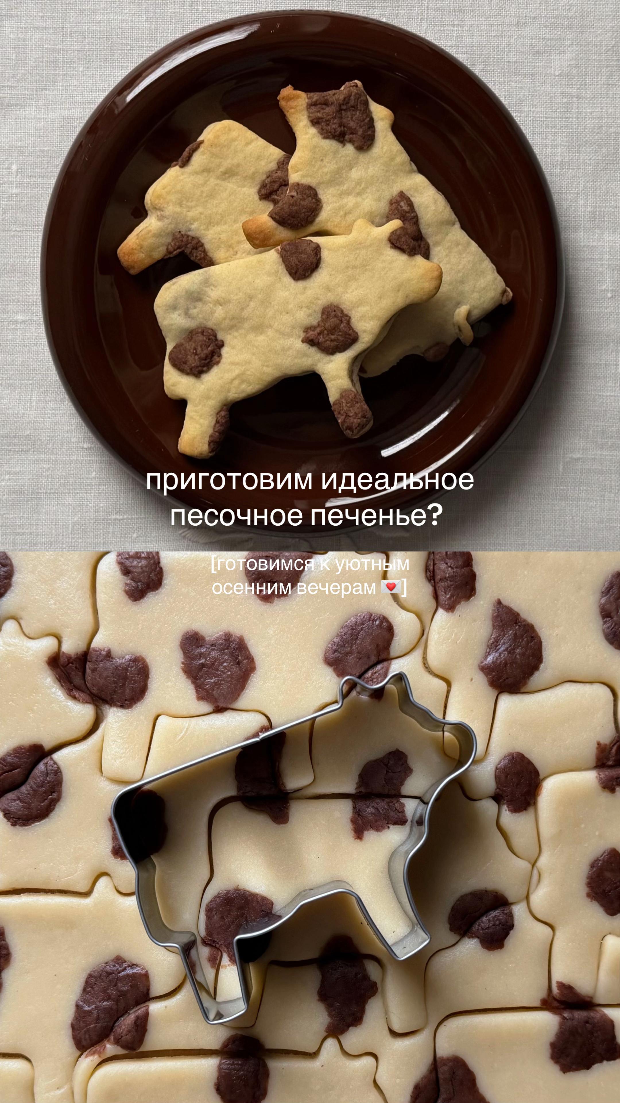 @comfylera 🍪