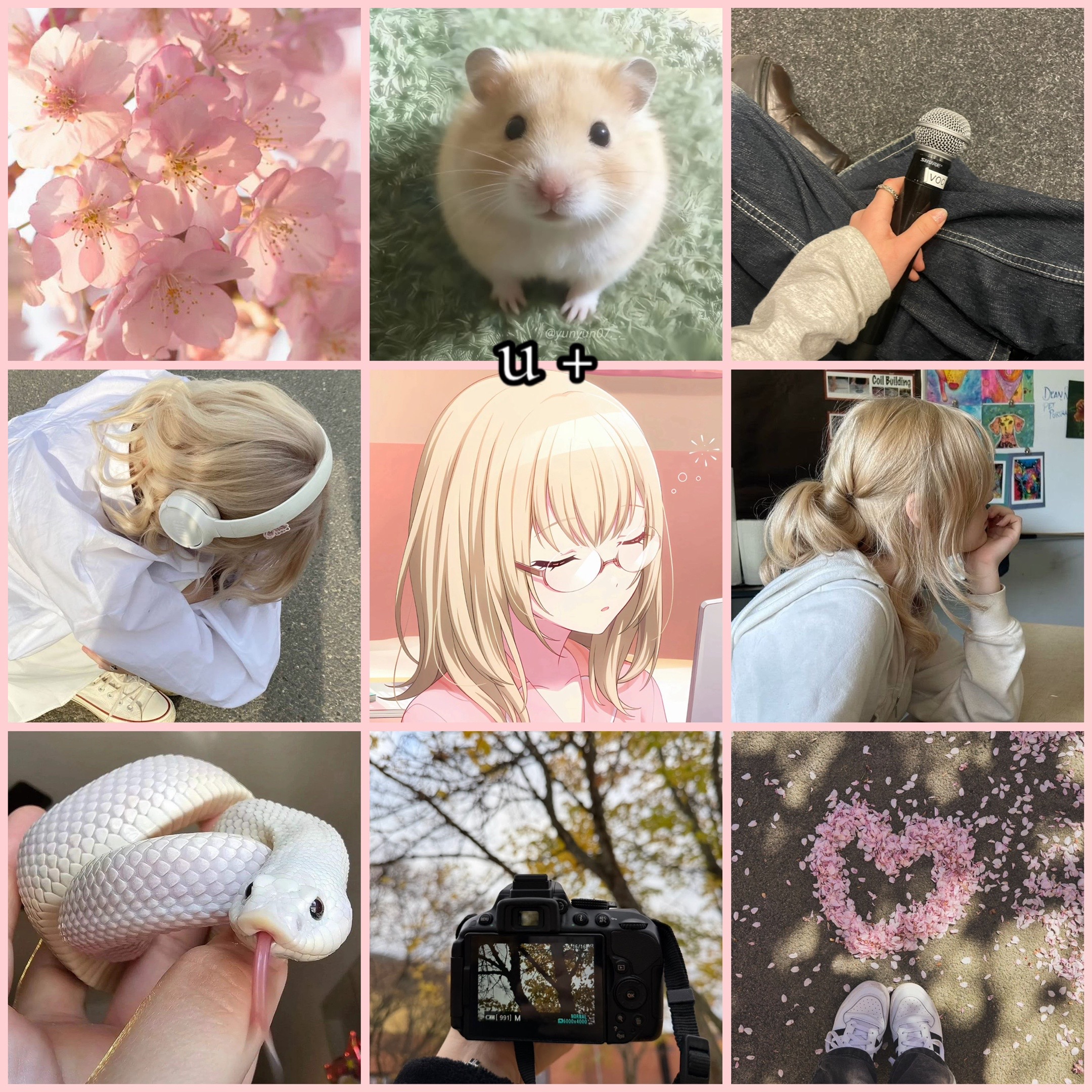 @. ݁₊ 🤍 ozma ⊹ . ݁𐙚