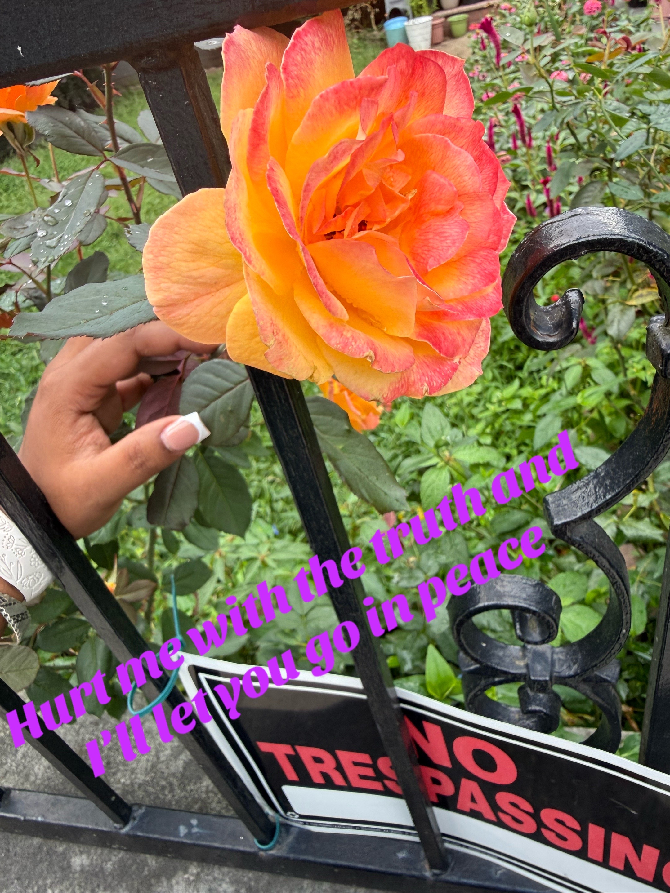 @🖤🕉️&icirc;țş Ď&egrave;vi &Scaron;🕉️🖤