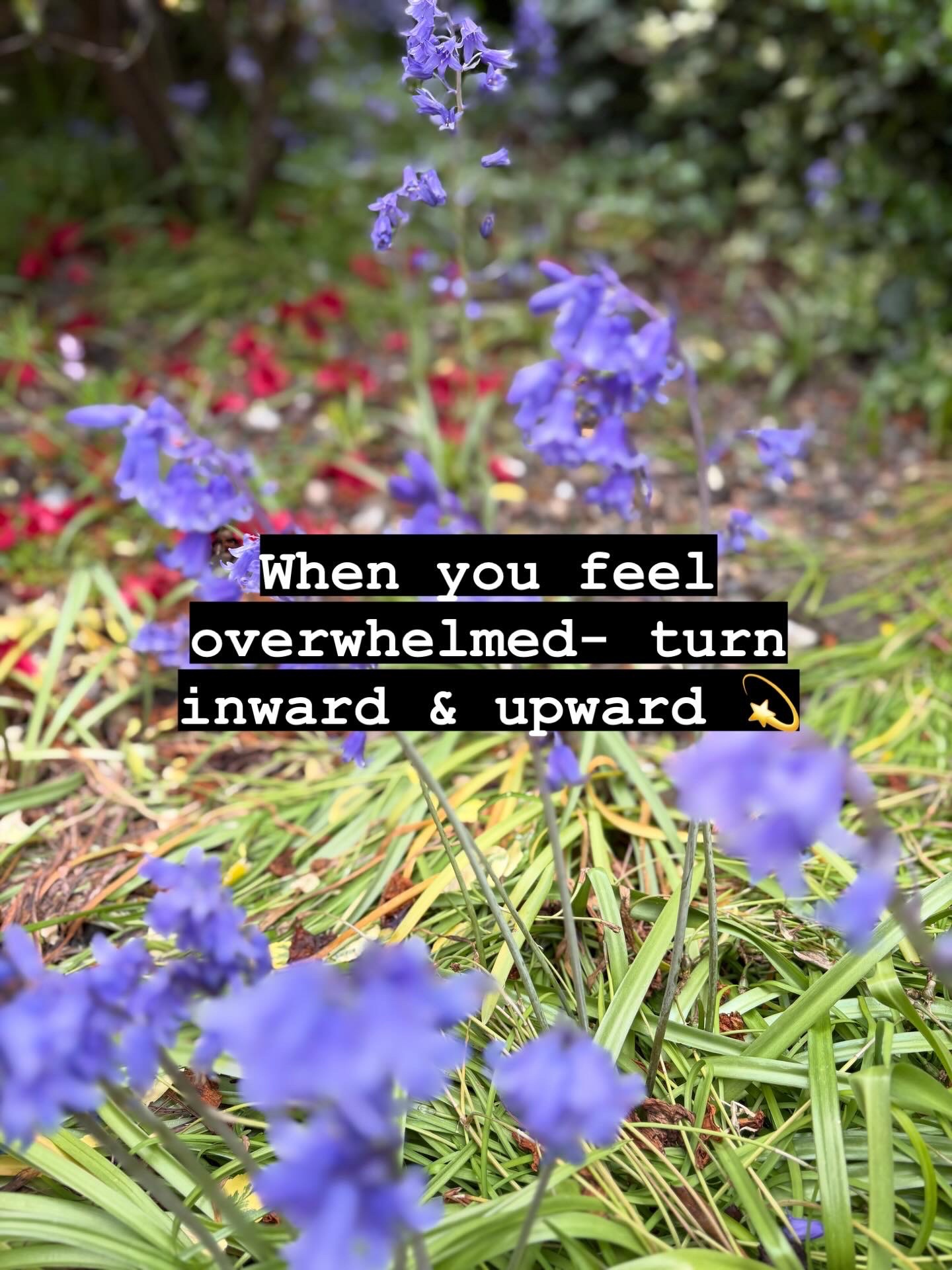 @B✨🧿