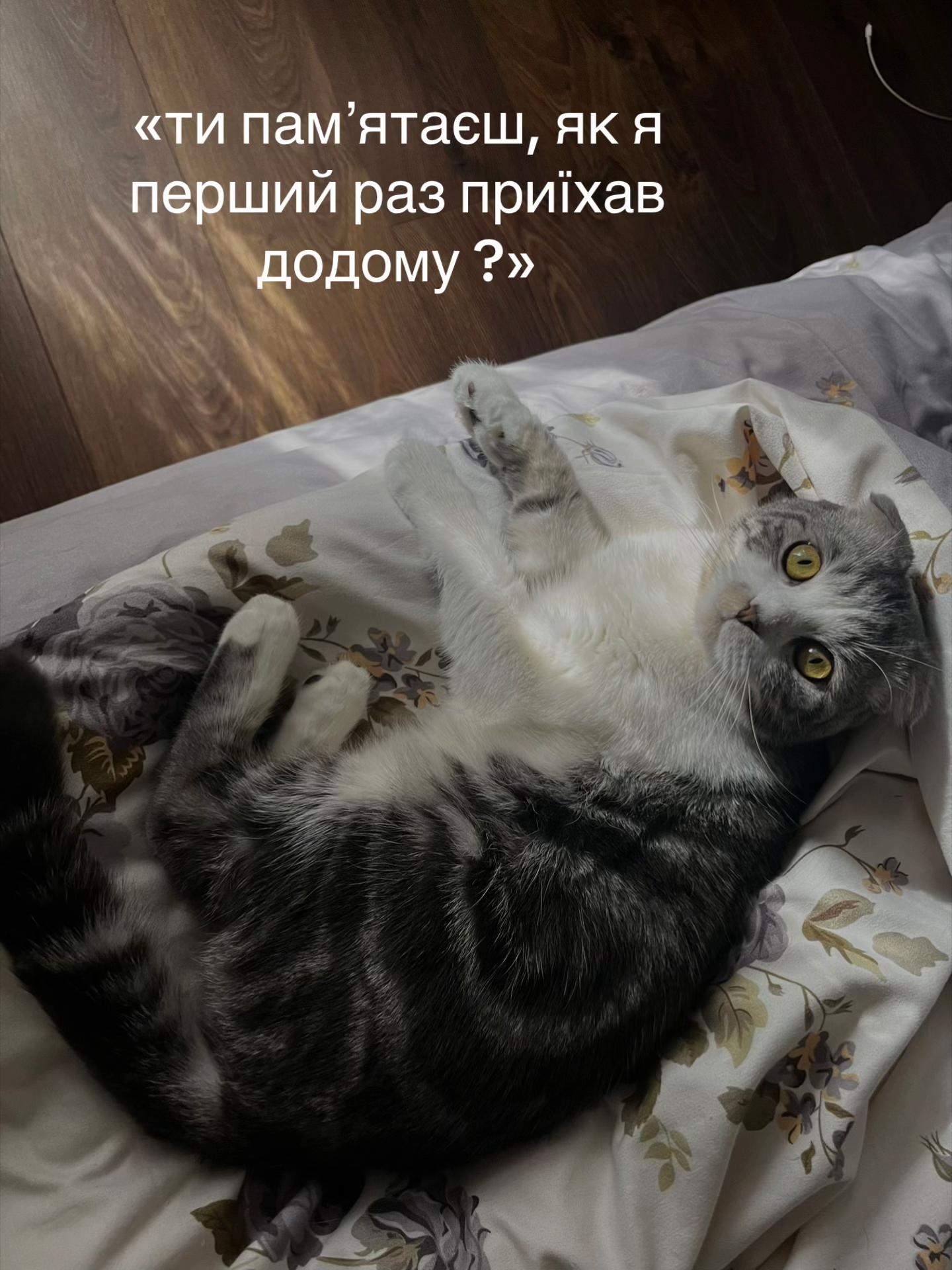 @anastasiia_mellnyk