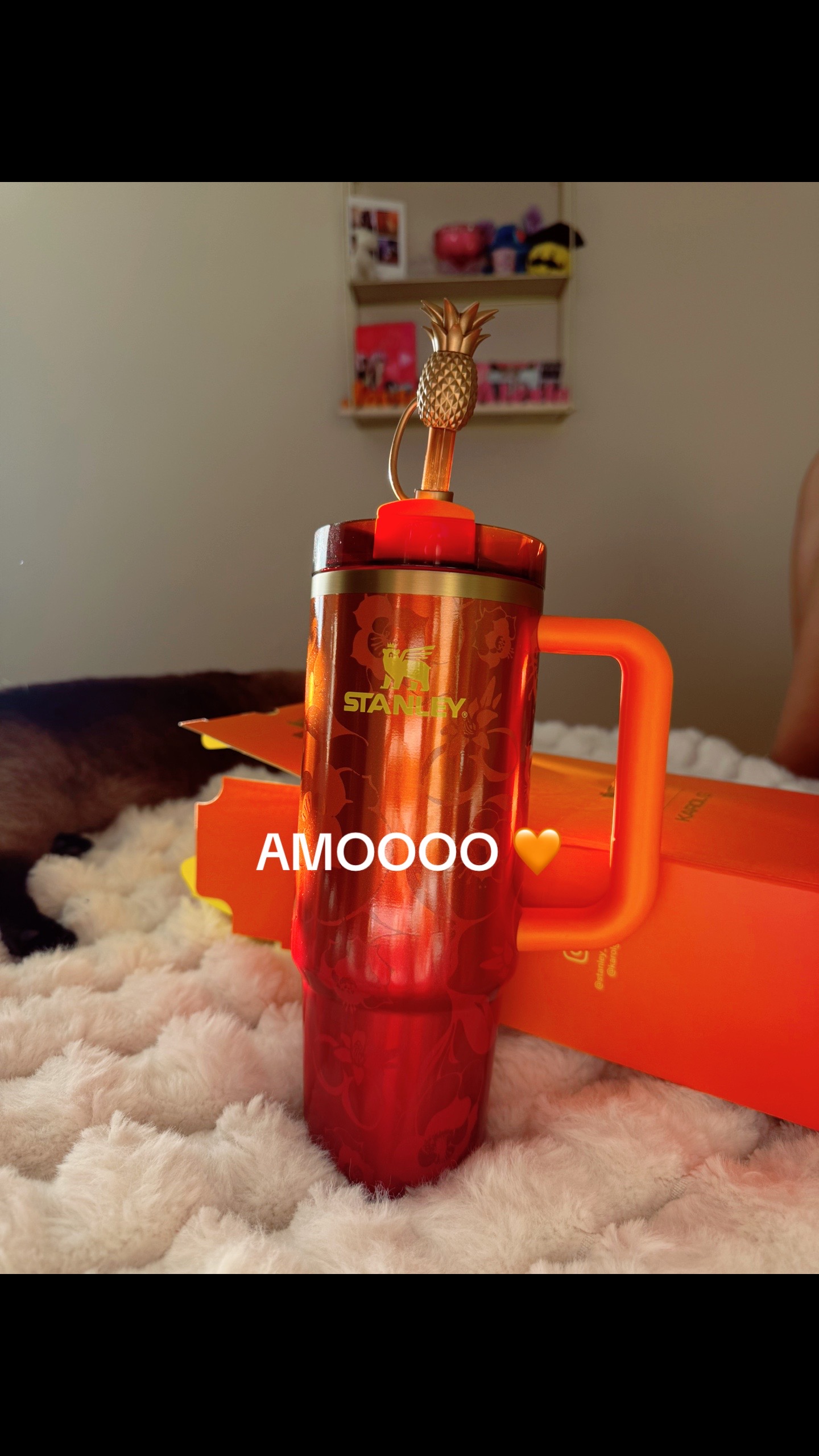 @ale 🌷
