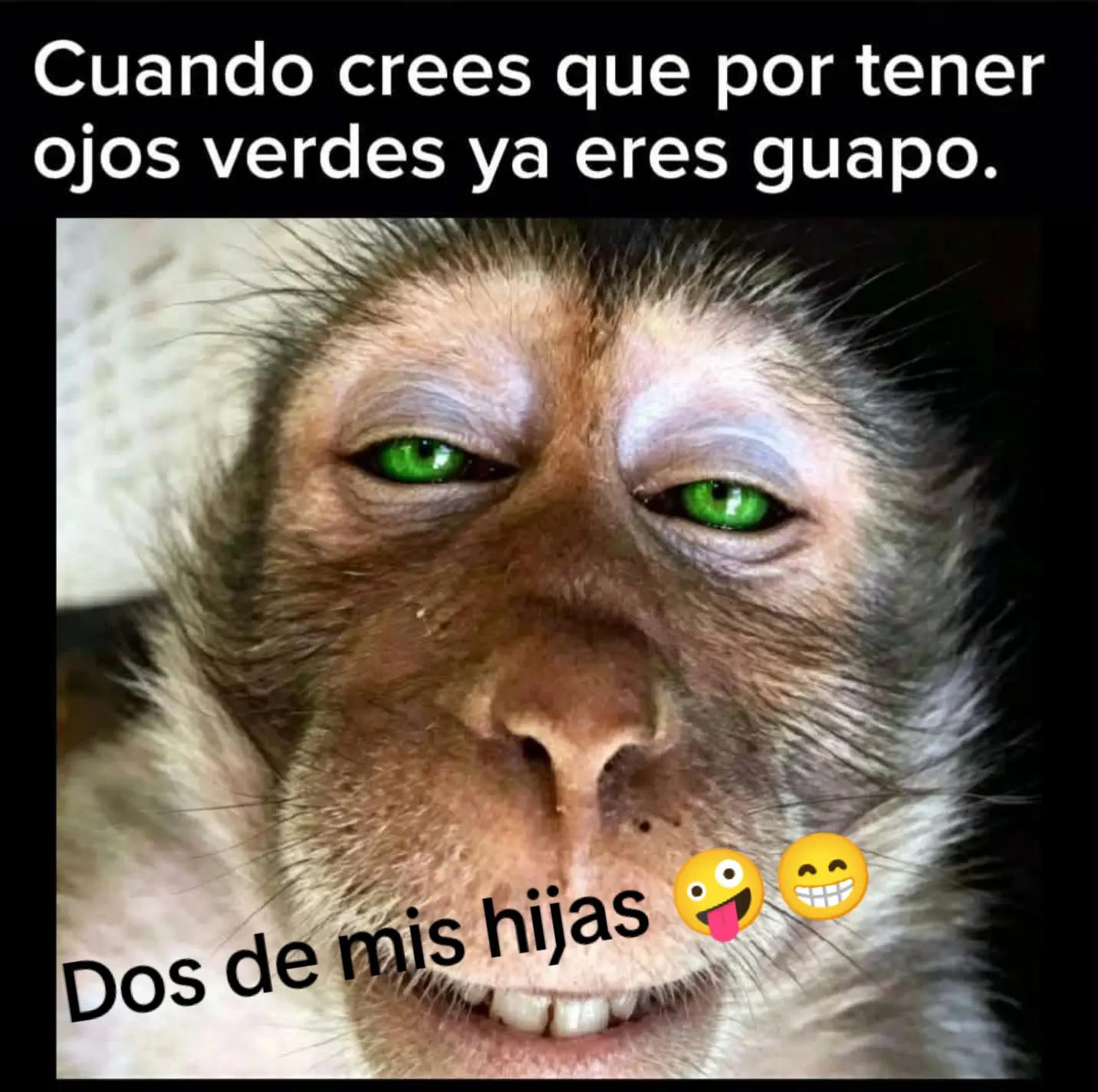 @Brenda marchan
