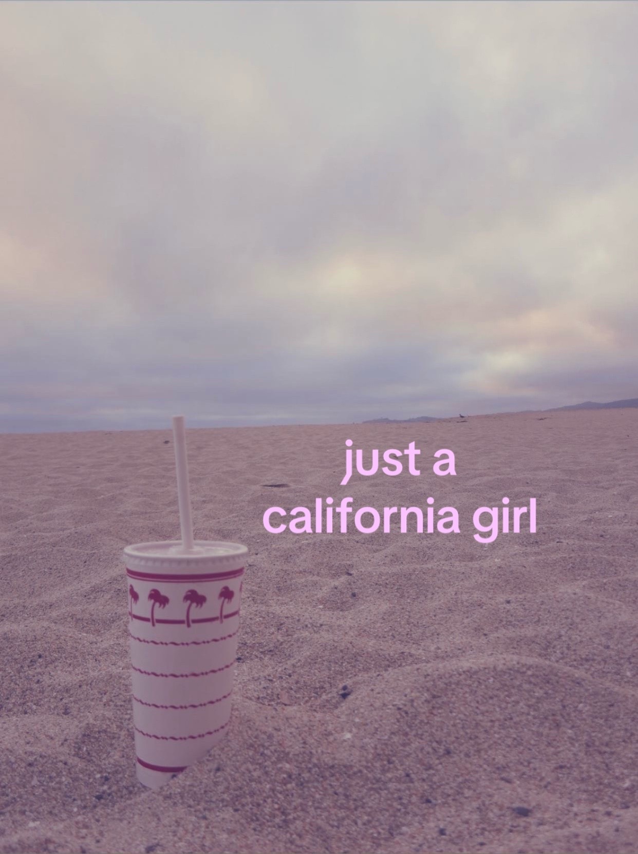 @leila