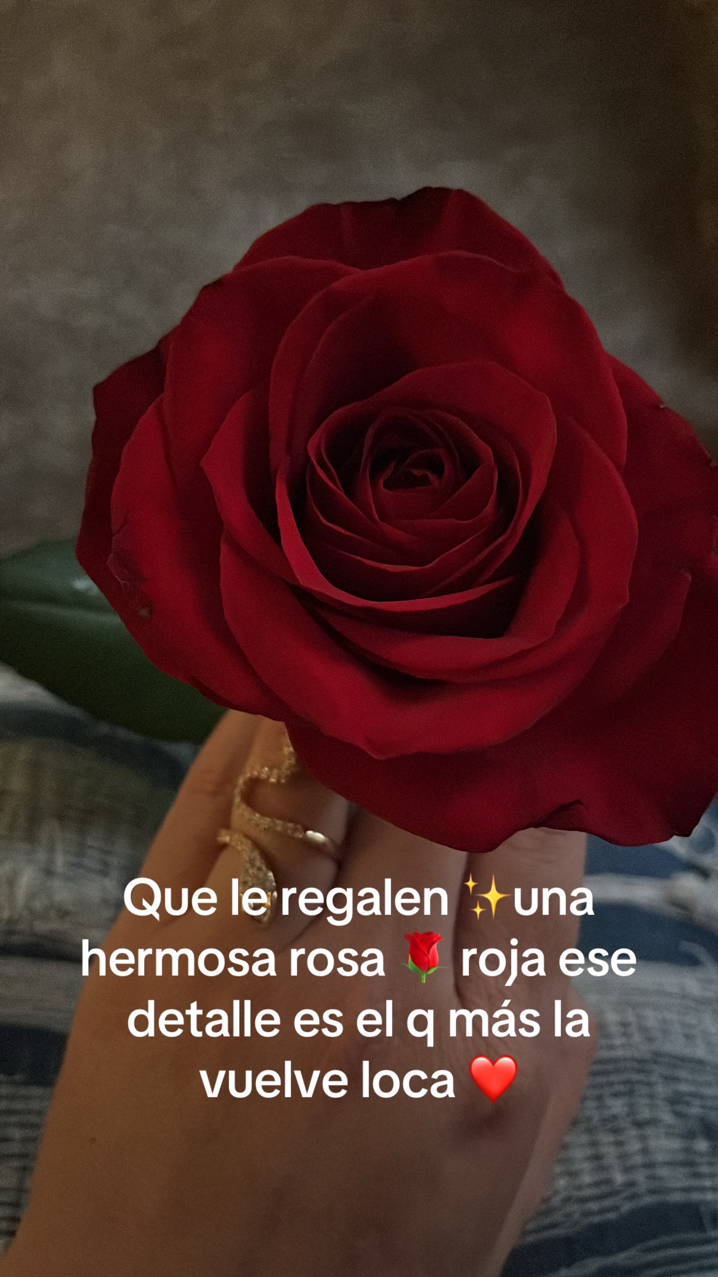 @Bibi