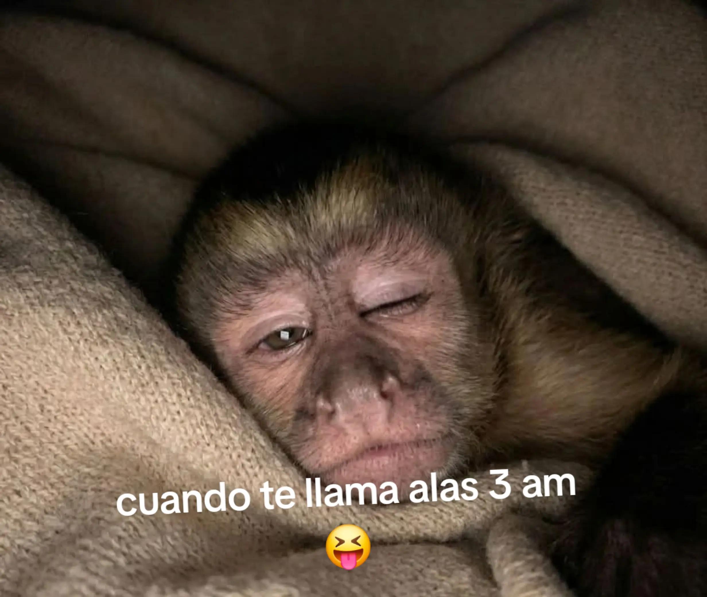 @3lbellodurmiente