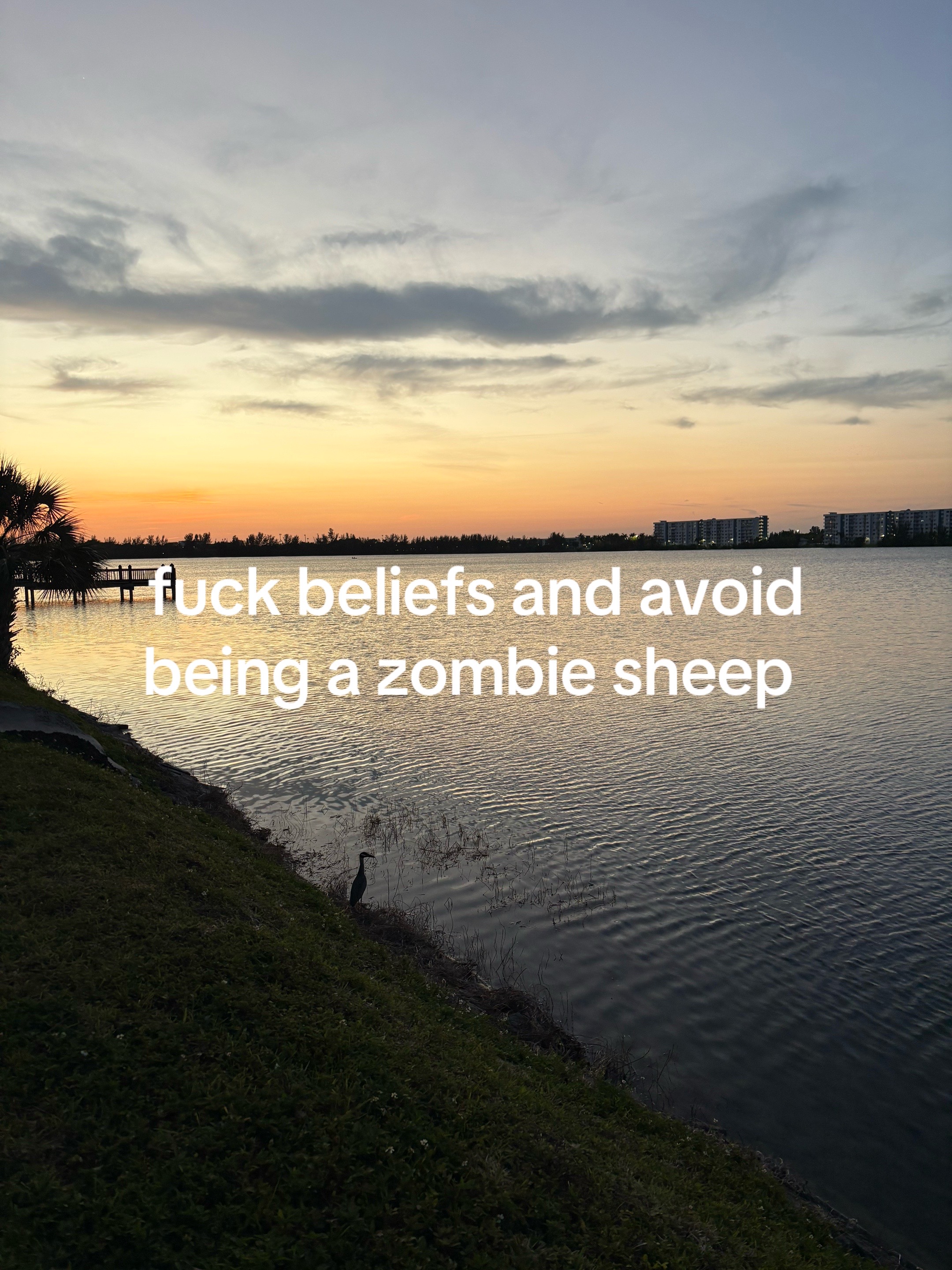 @dom🫈