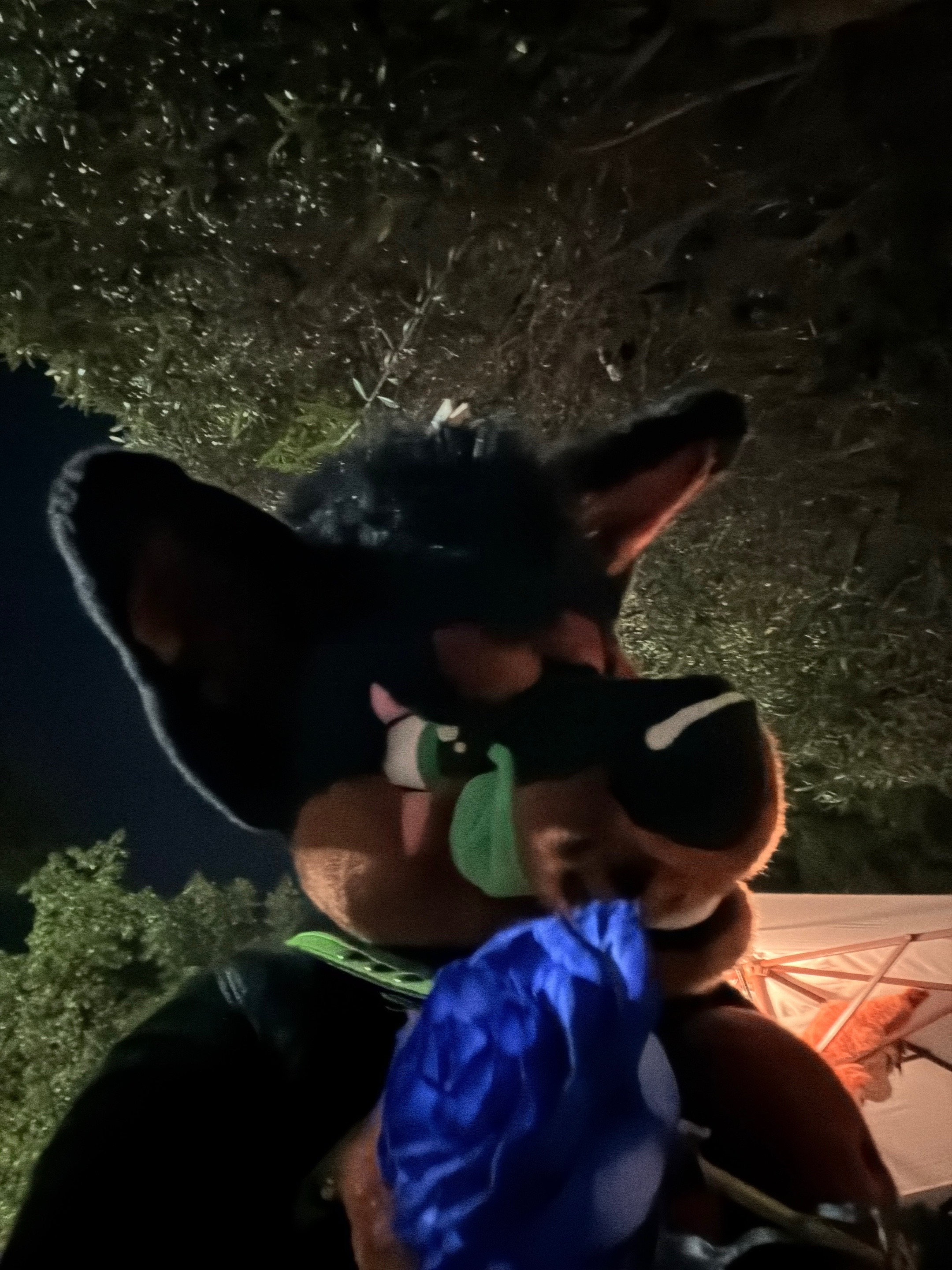 @Samuel Shep/Tank Doberman