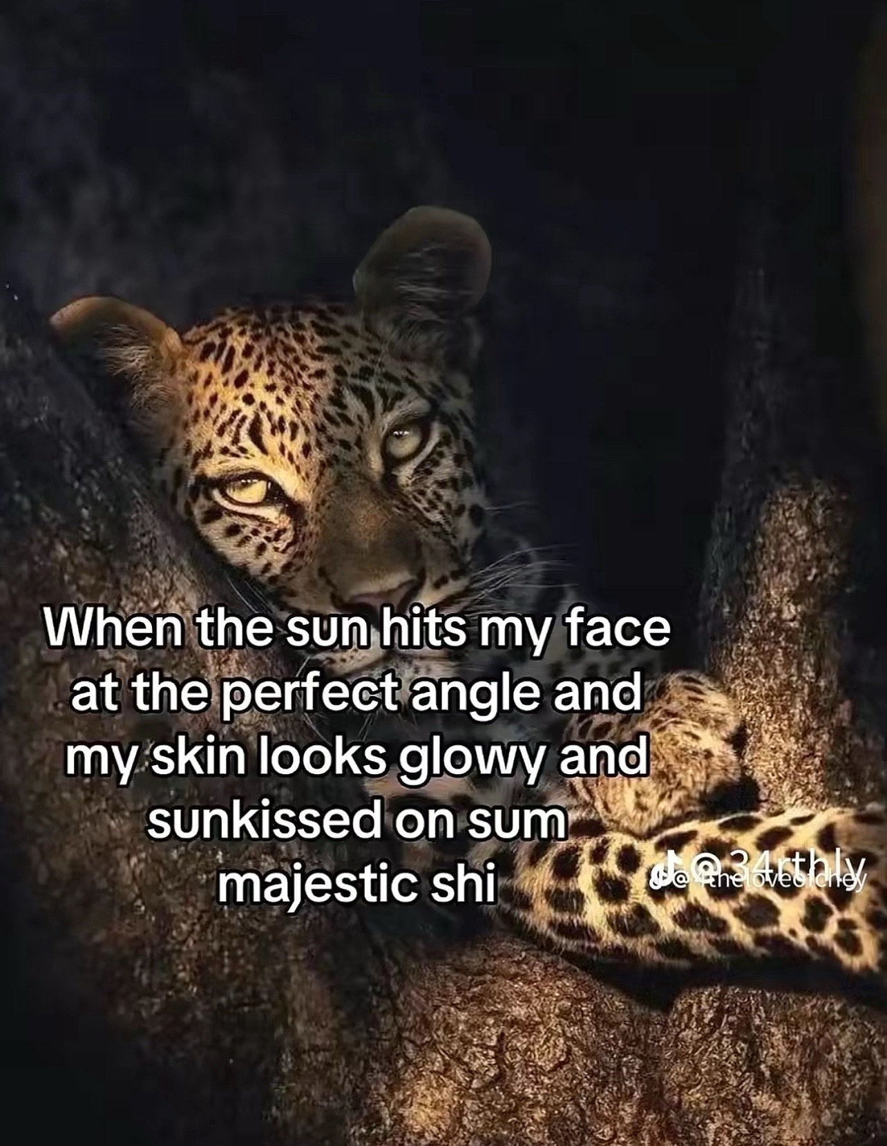 @brï