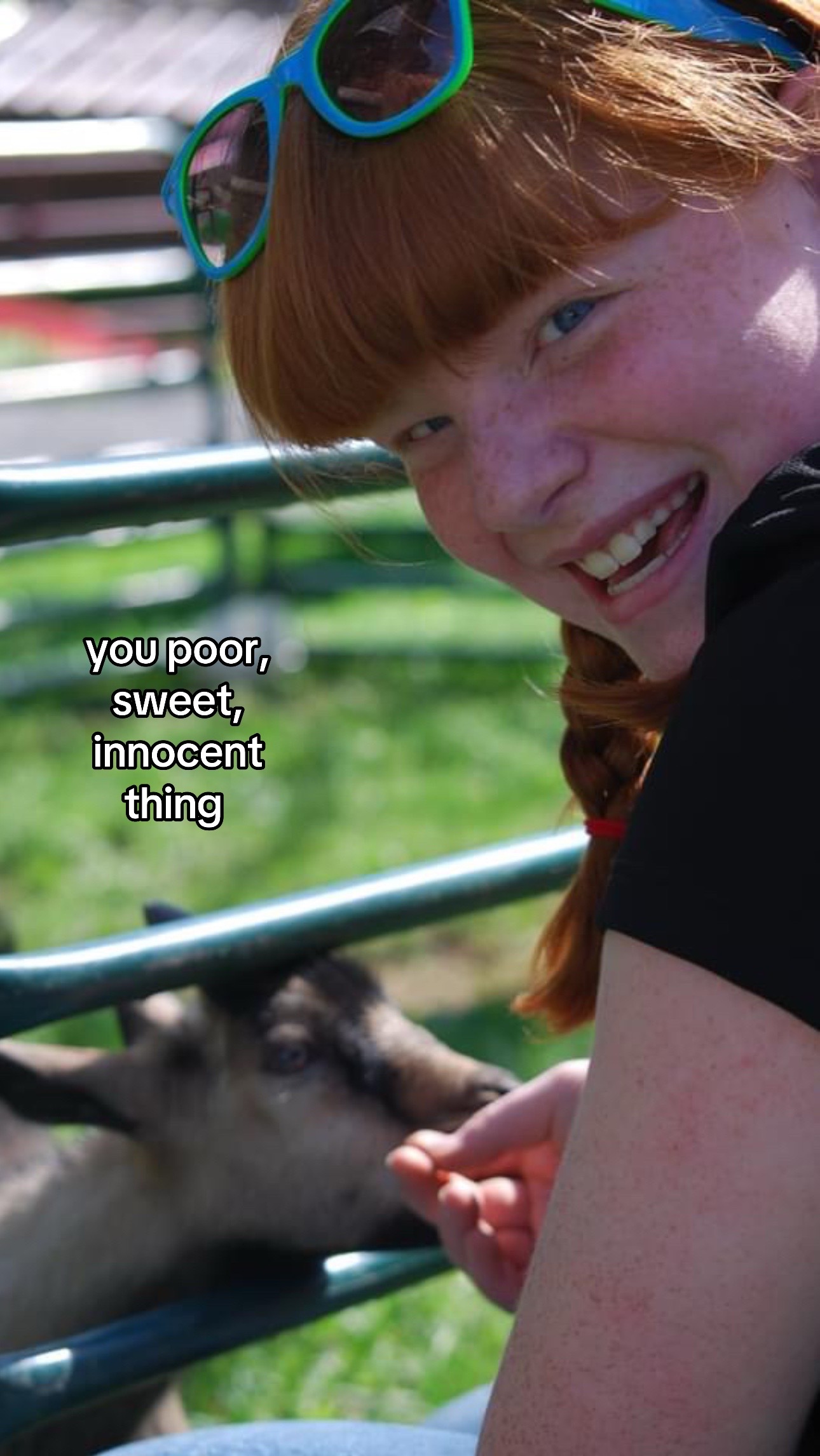 @punchyginger