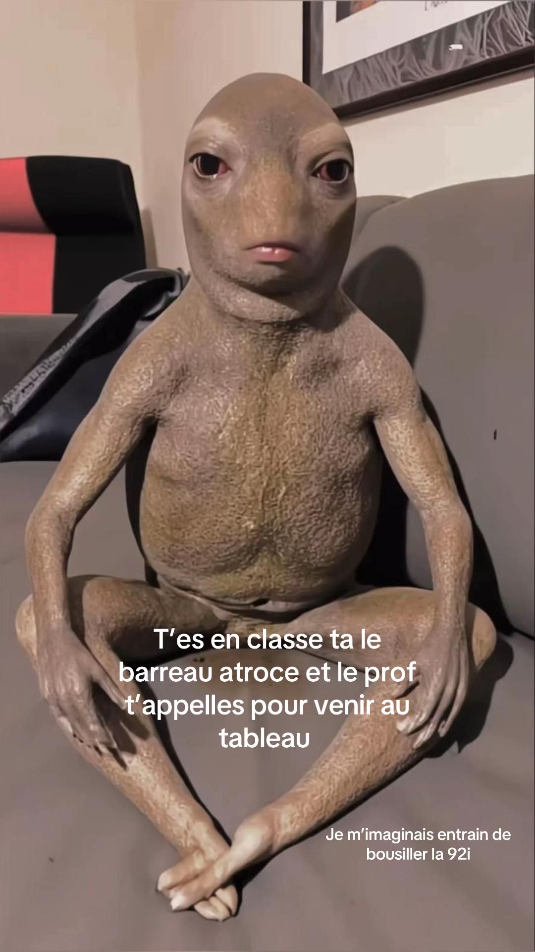 @Roxcy👁️🗨️
