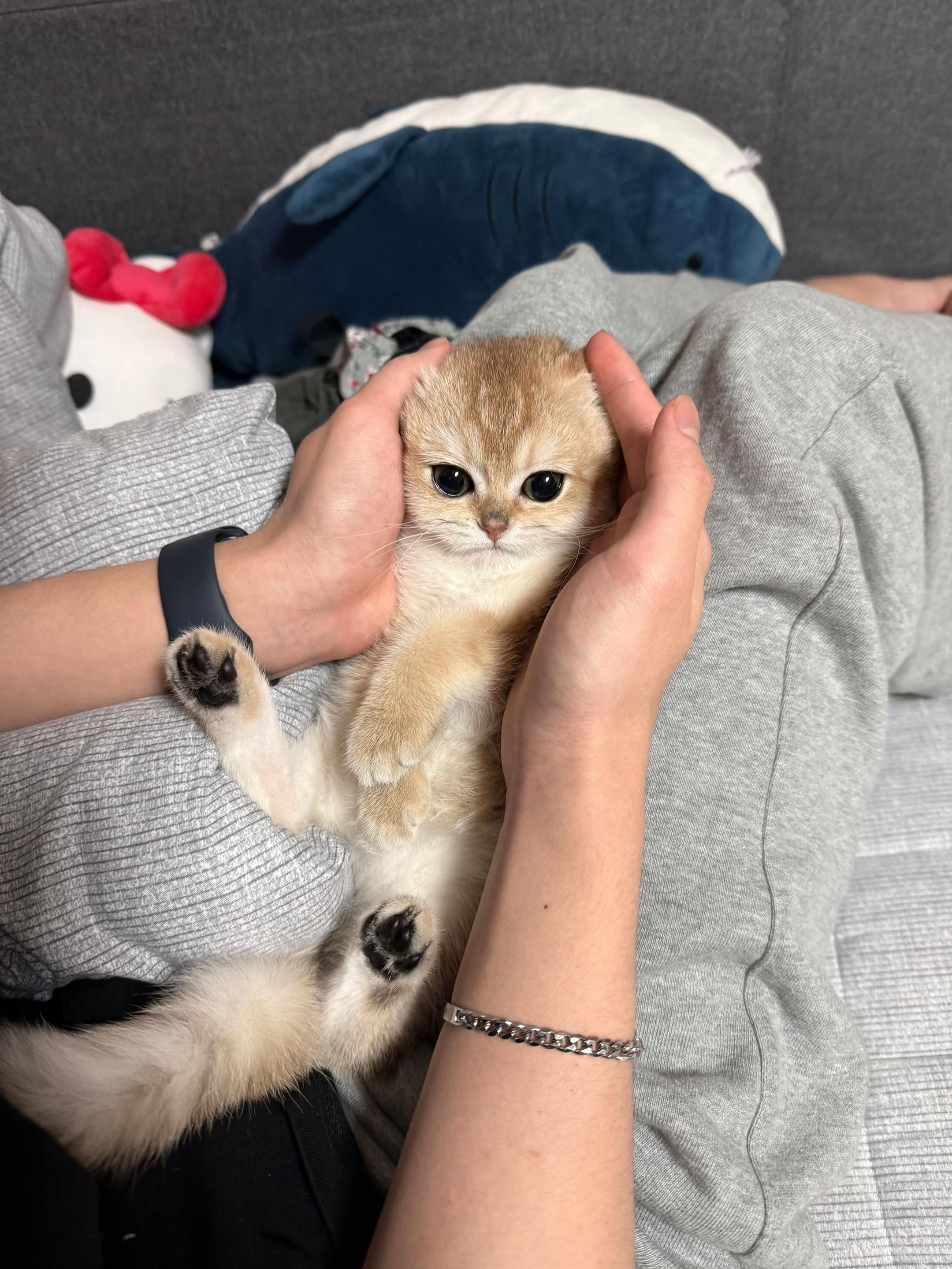 @정잉잉