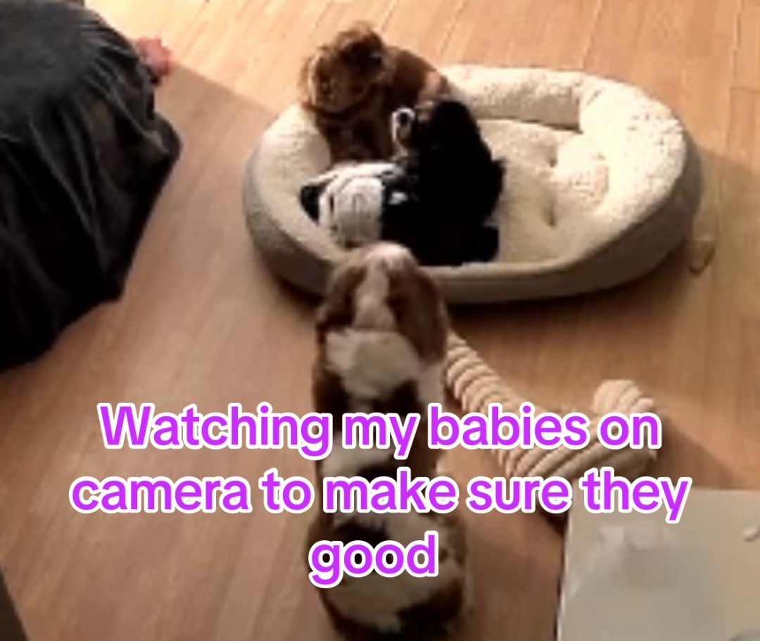@BurrBabies4