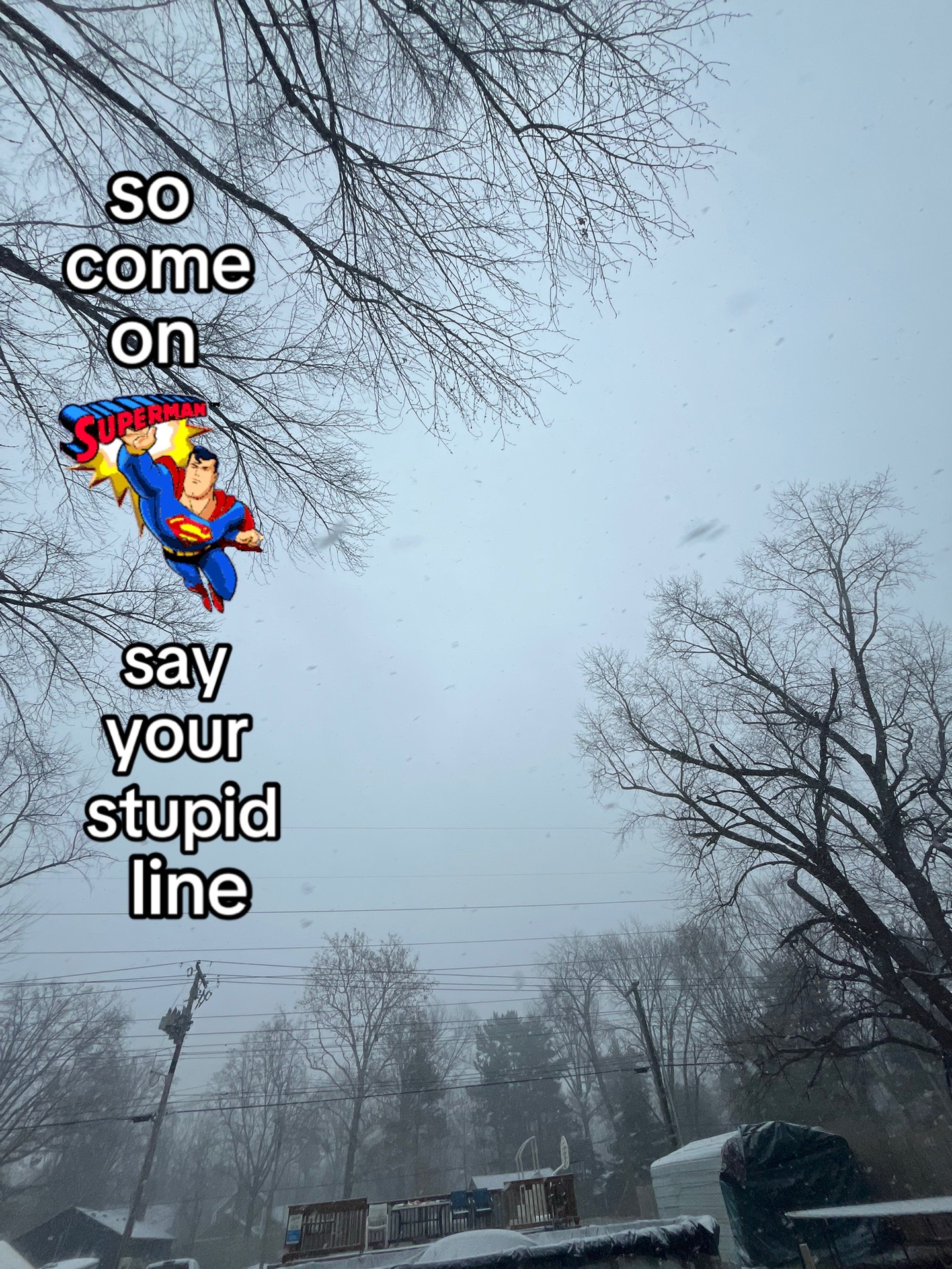 @&dagger; 𝘴𝘹𝘶𝘭𝘭 &dagger;