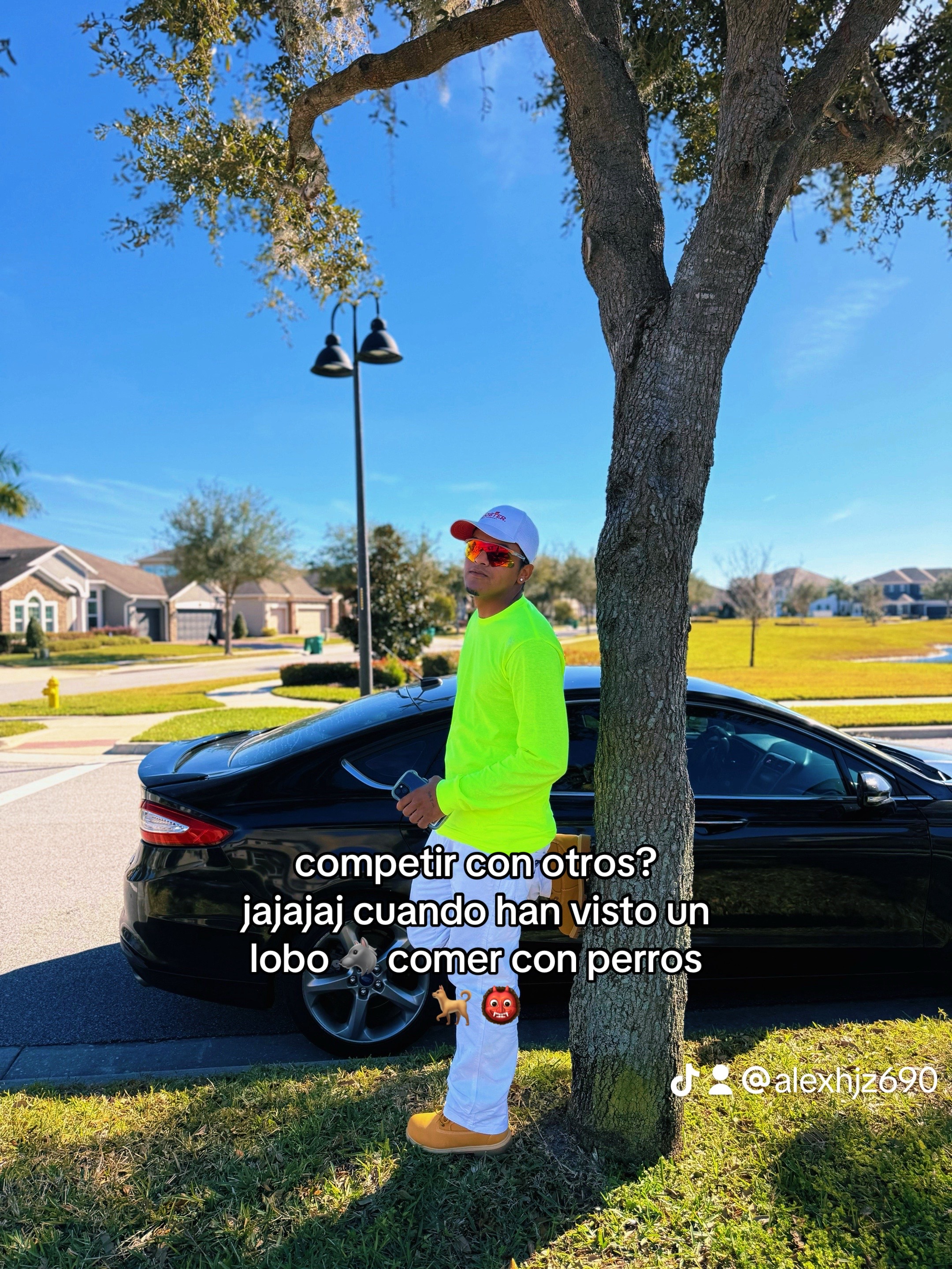 @alex hjz