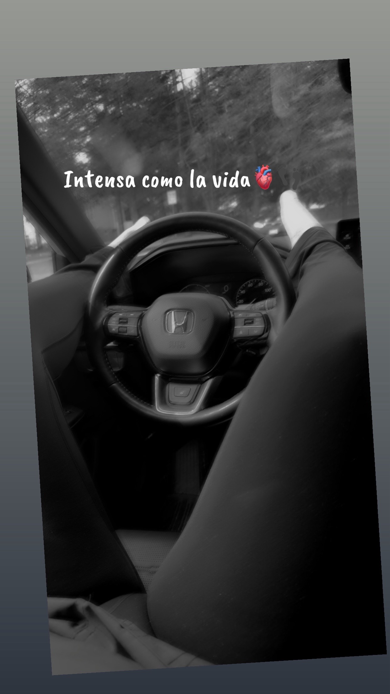 @La Negrita cotiza