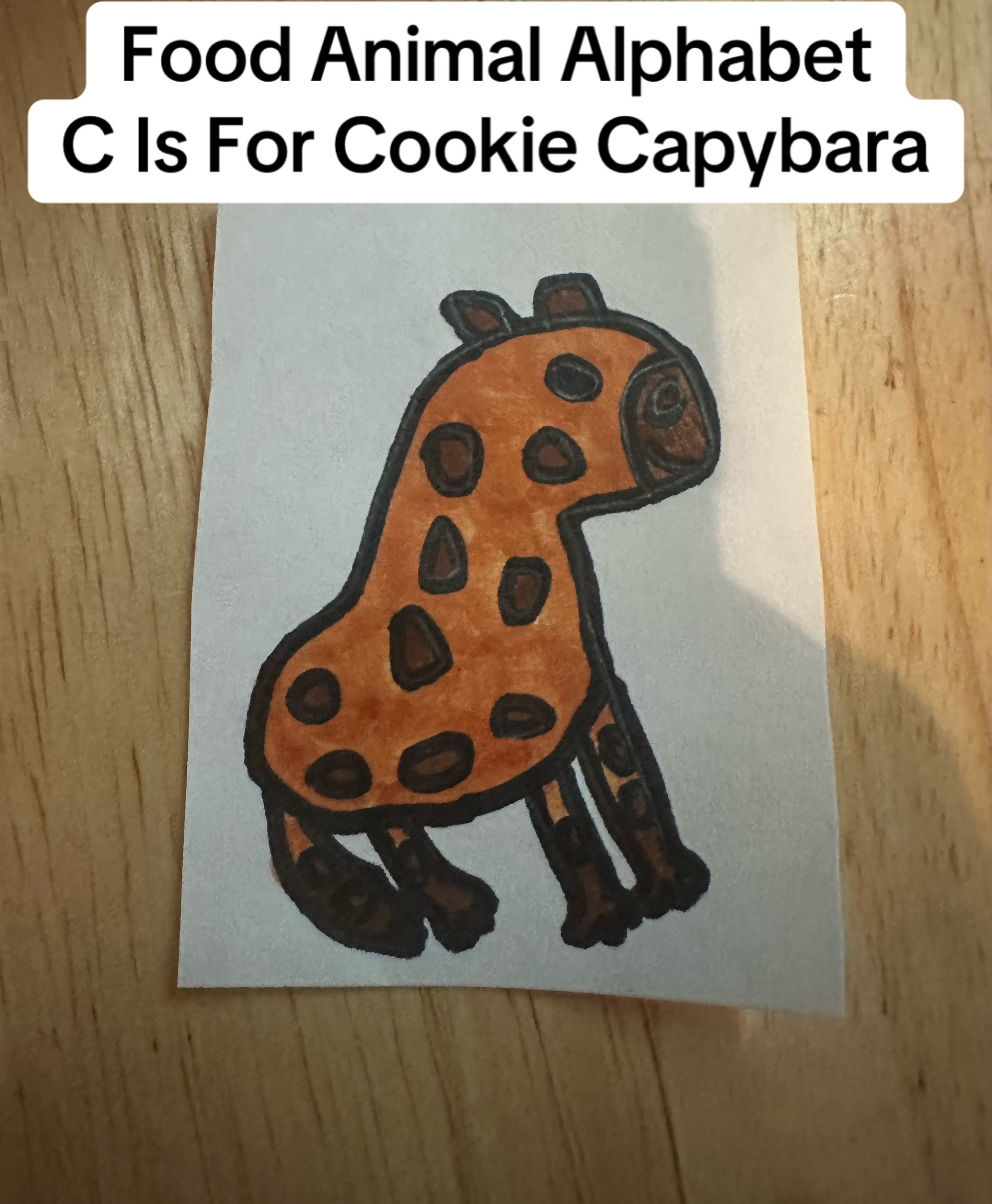 @RedTheKangaroo