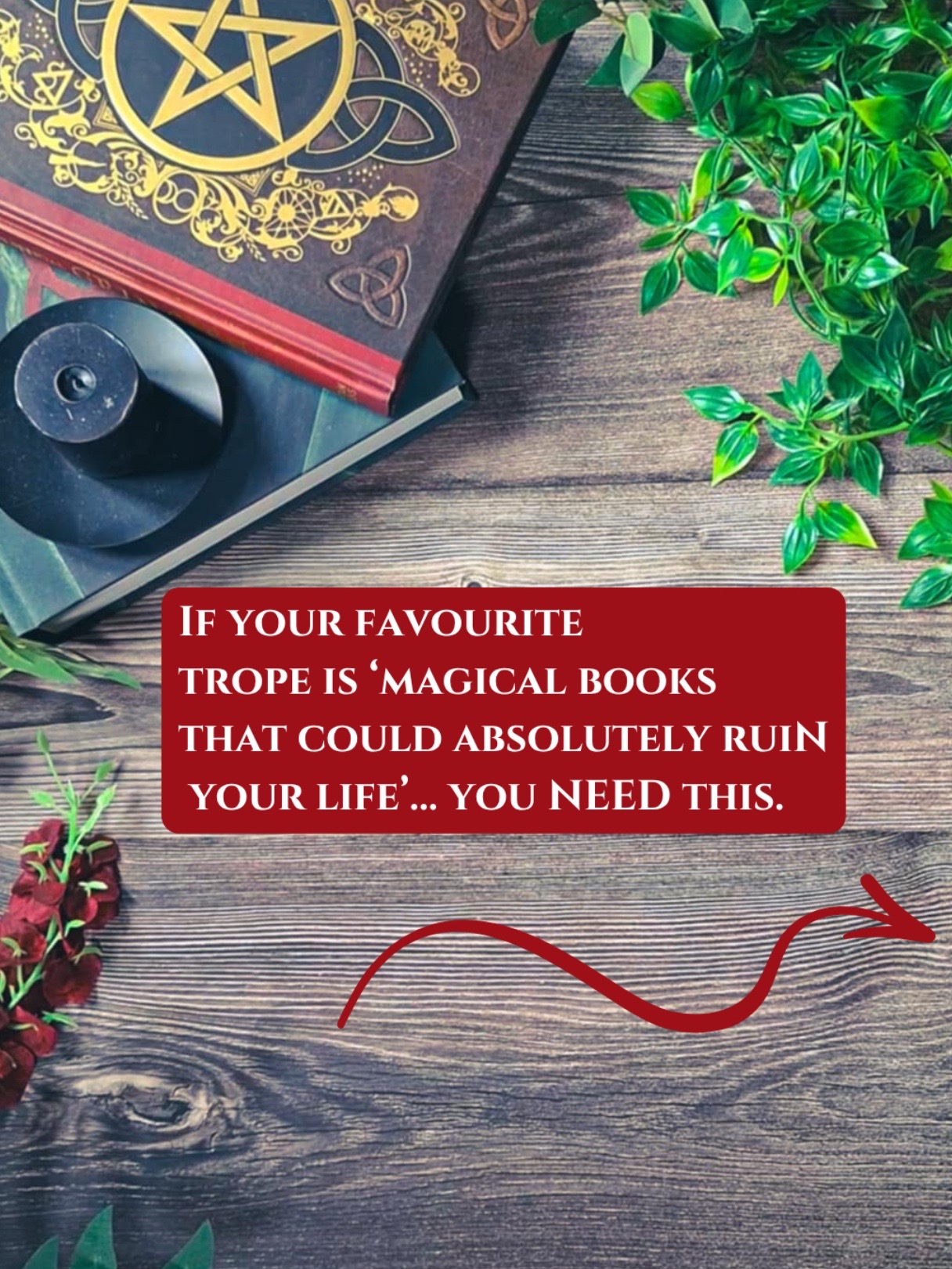 @Noelle📚 Book Recs & Writer