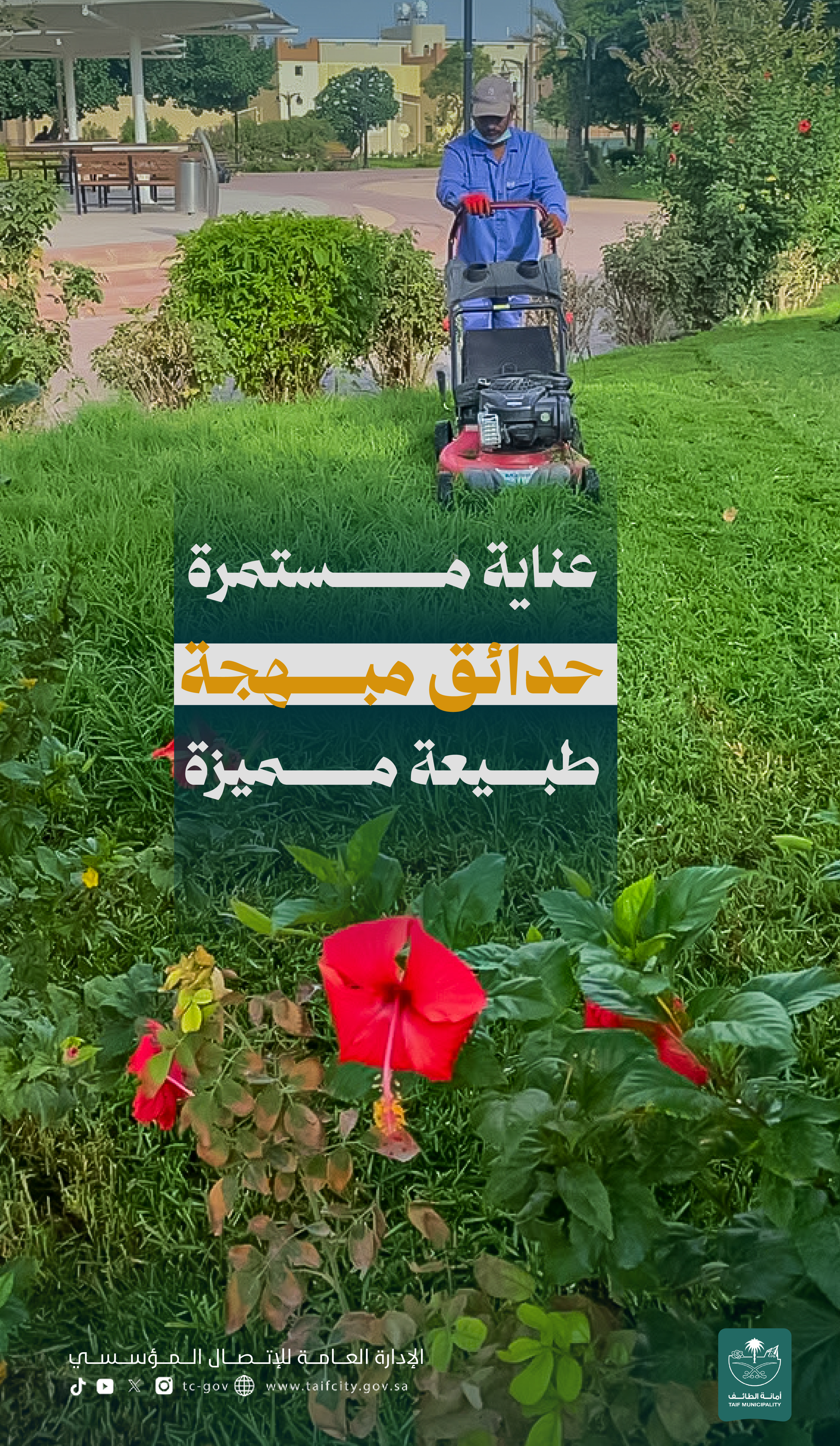 @أمانة الطائف
