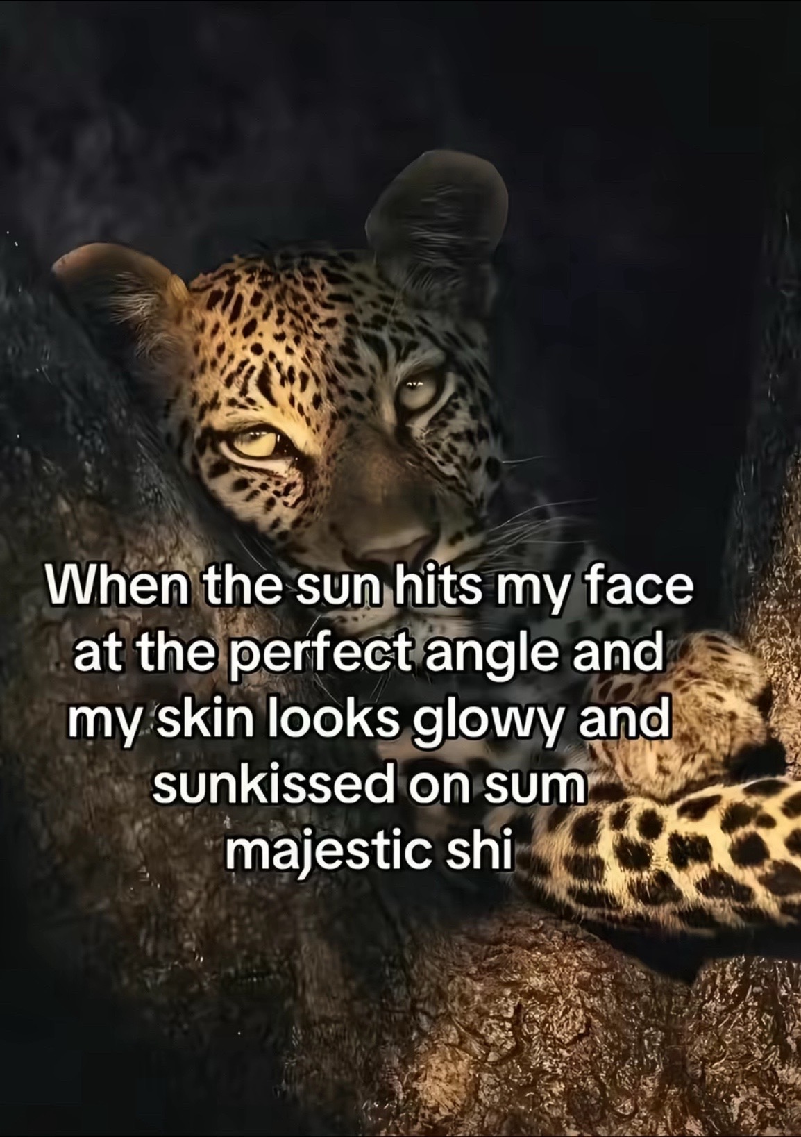 @nat