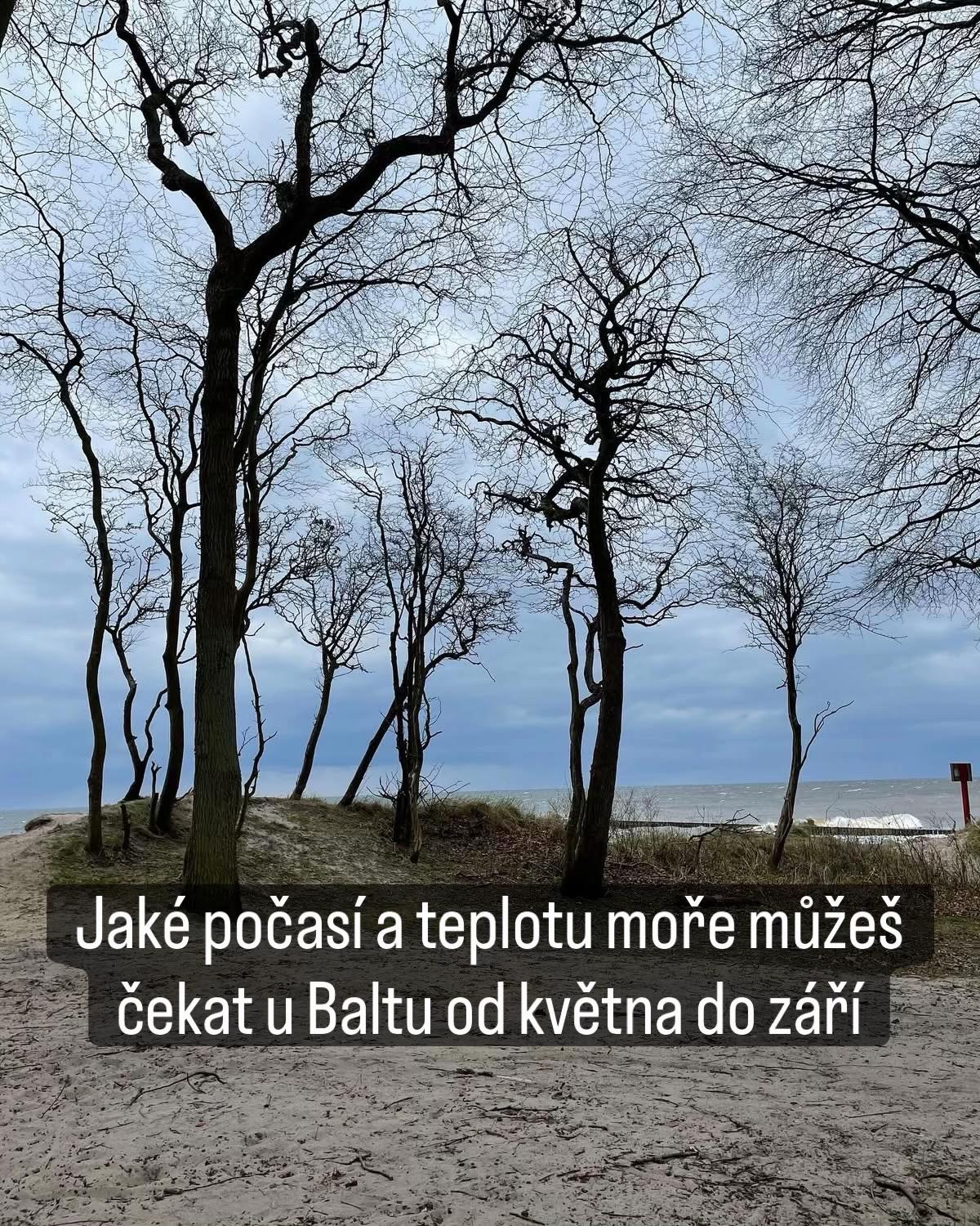 @Barů Rzyman